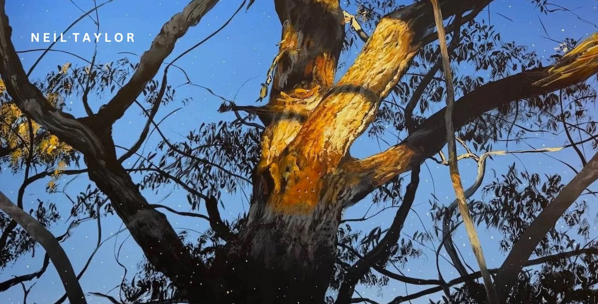 Neil Taylor. day gallery.jpg