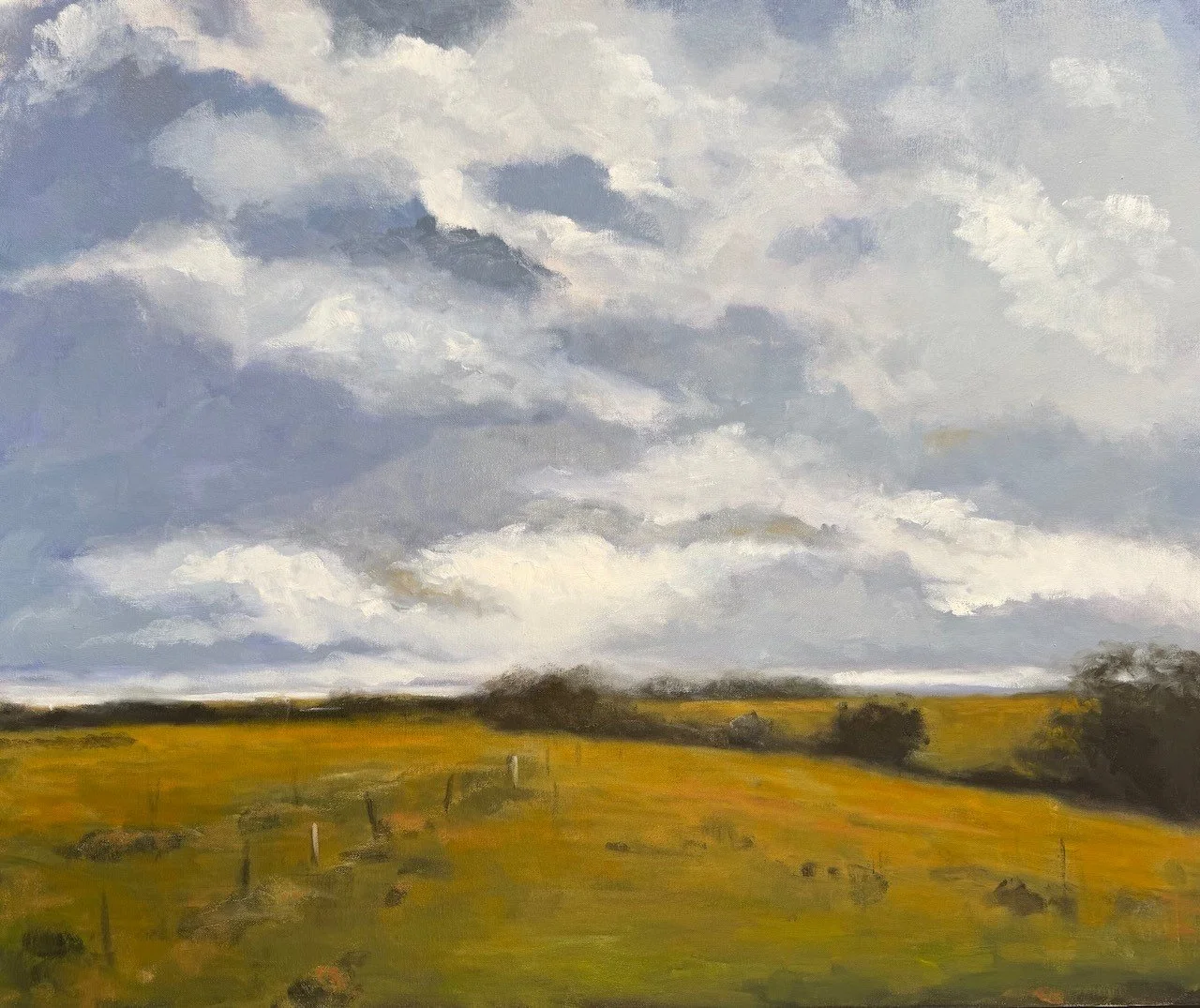 Frank Boyle | Fence On The Molong