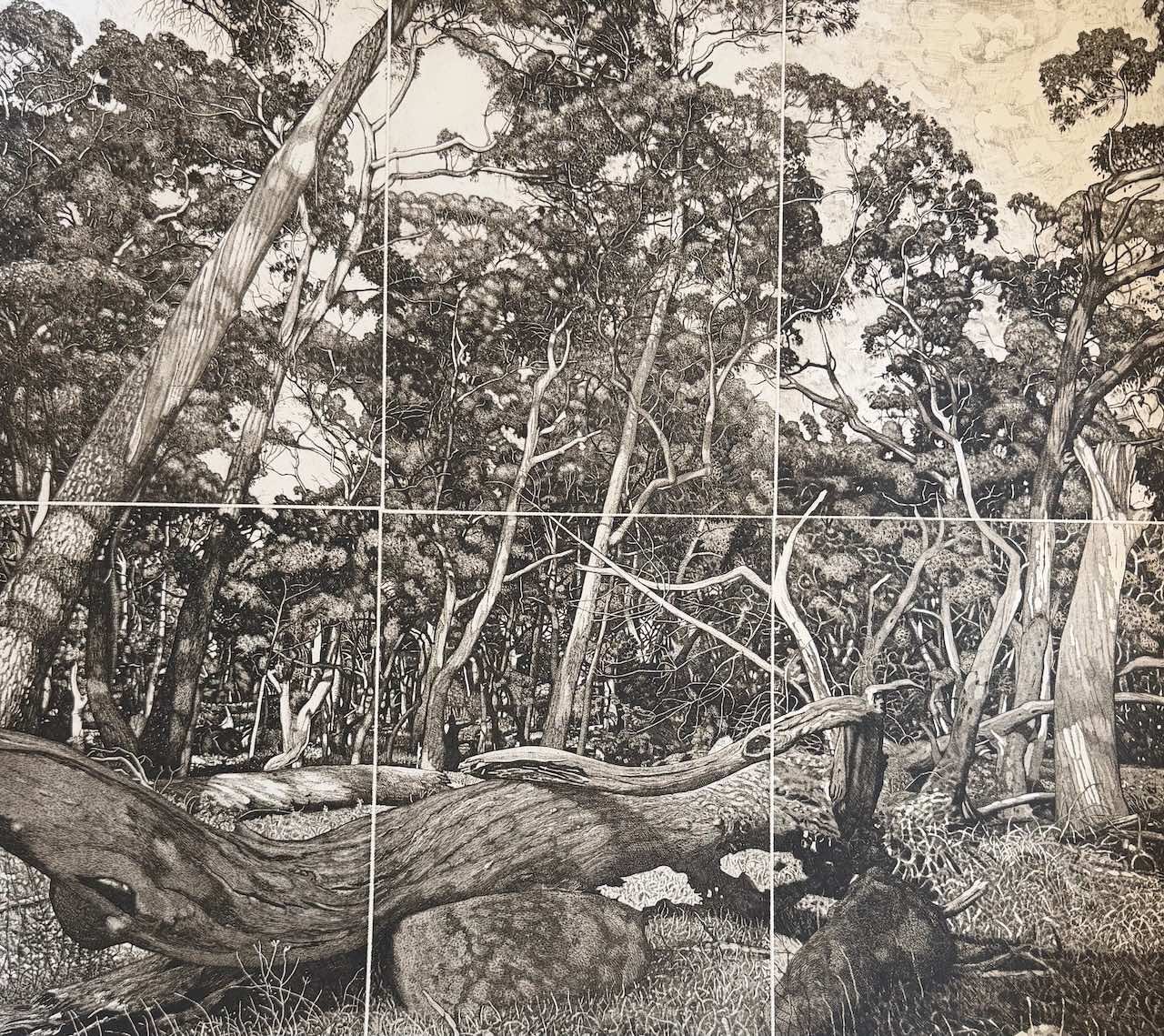 David Frazer | The Tangled Wood (Composition II) | 