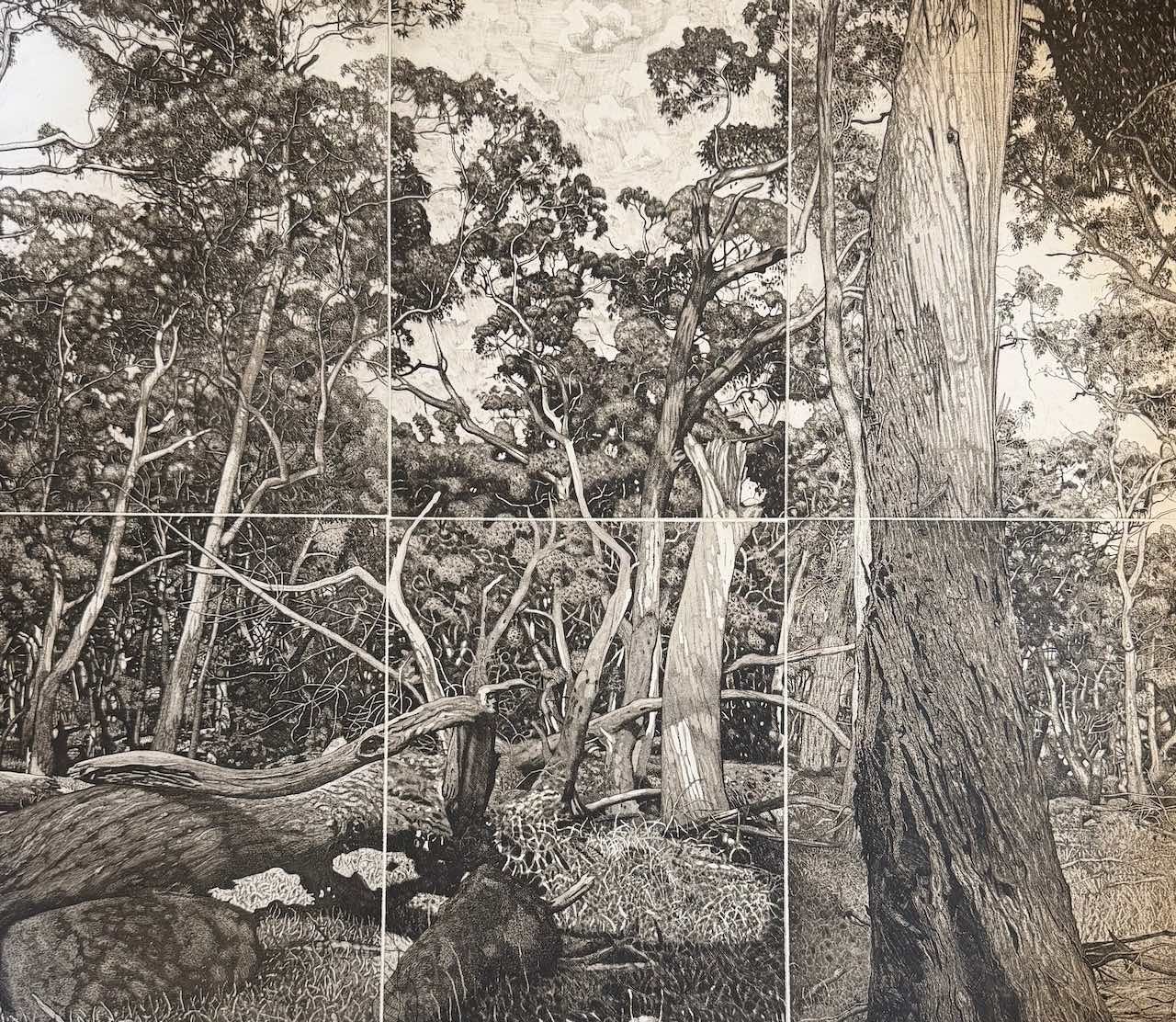 David Frazer | The Tangled Wood (composition III) 