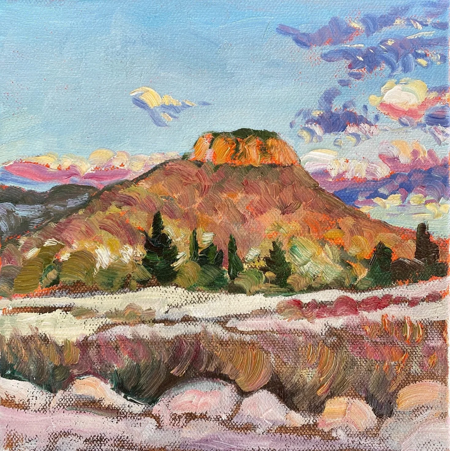 Rachel Hannan | Dunville Loop Surprise 