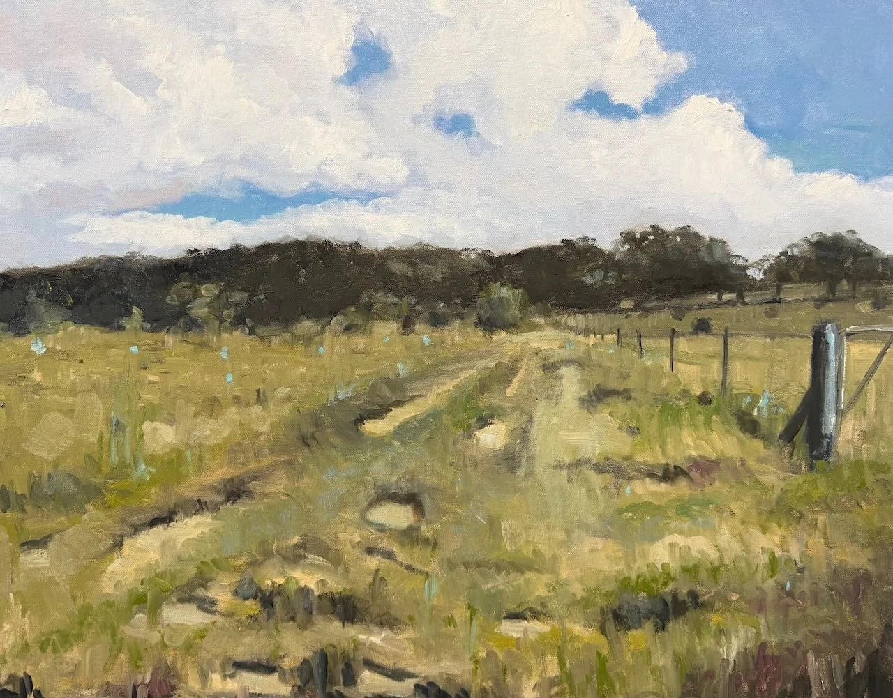 Frank Boyle | Fence Line Maffra 