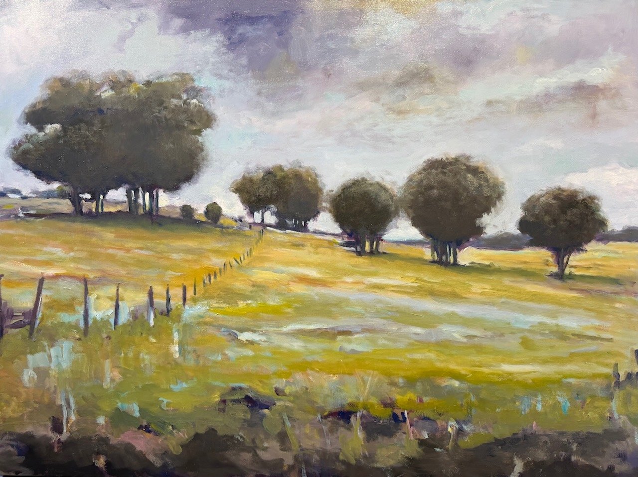 Frank Boyle | Fence Line Maffra 2