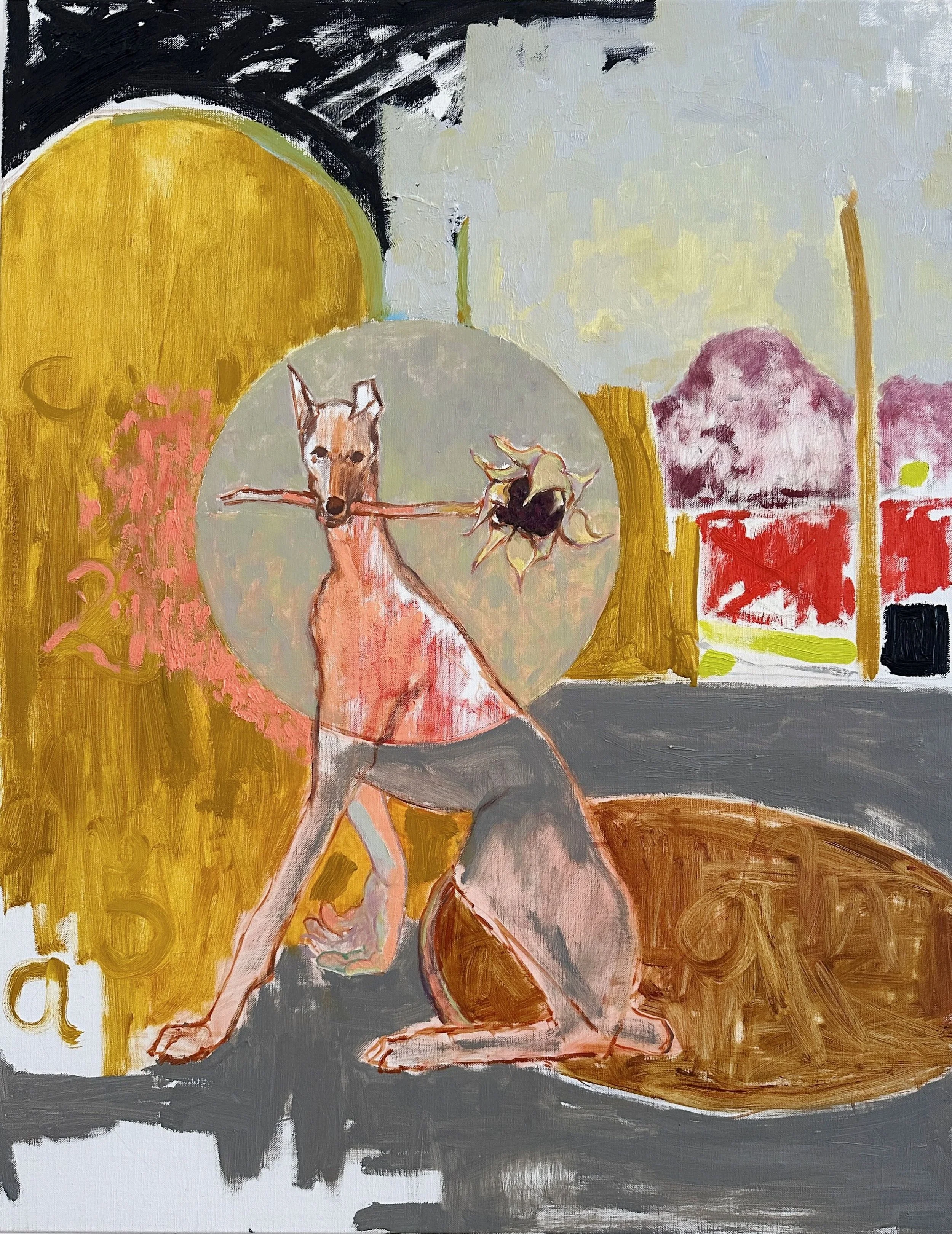 Anthony Cahill | The Quite Dog