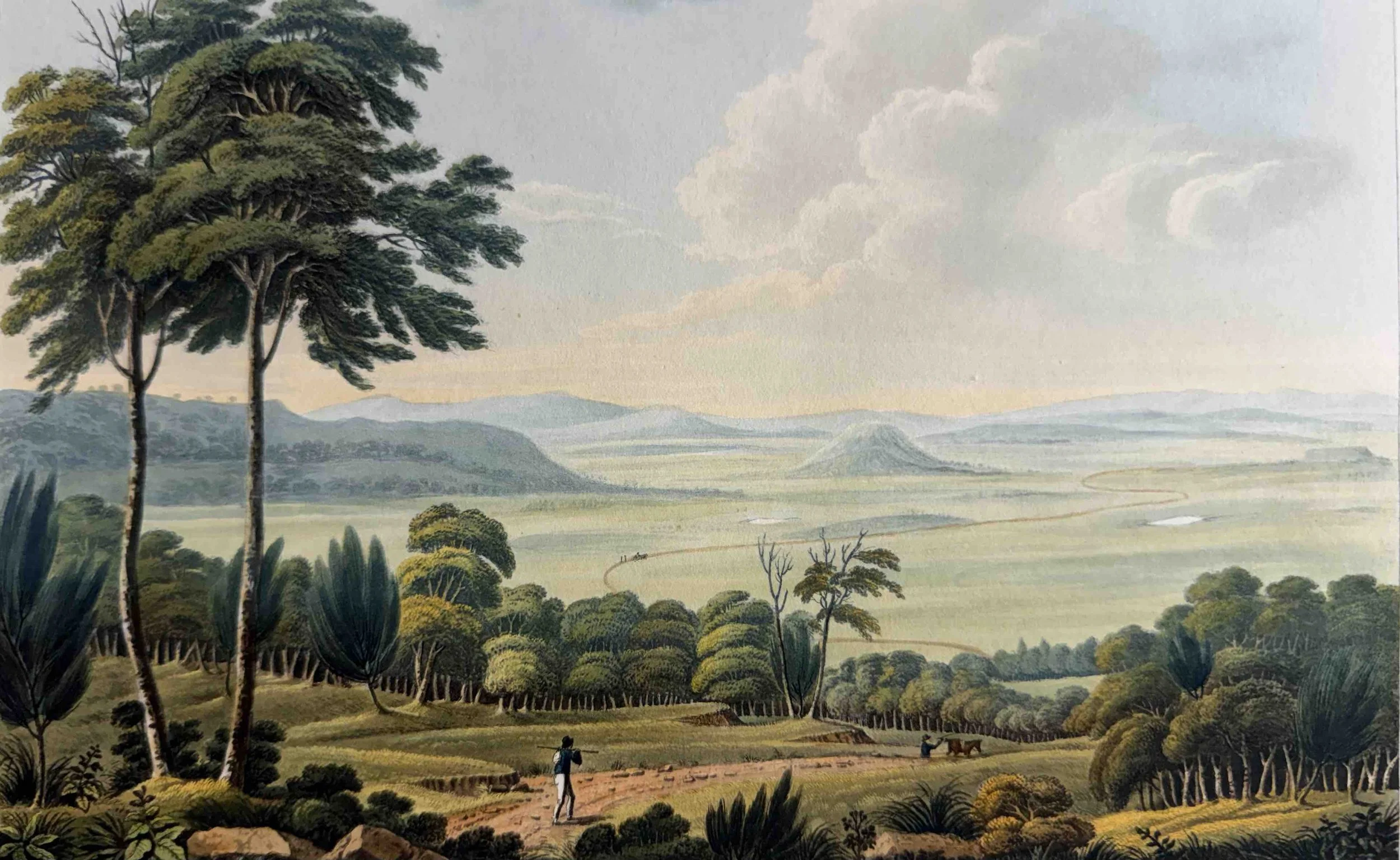 Joseph Lycett | Salt Pan Plains Van Diemens Land 1824