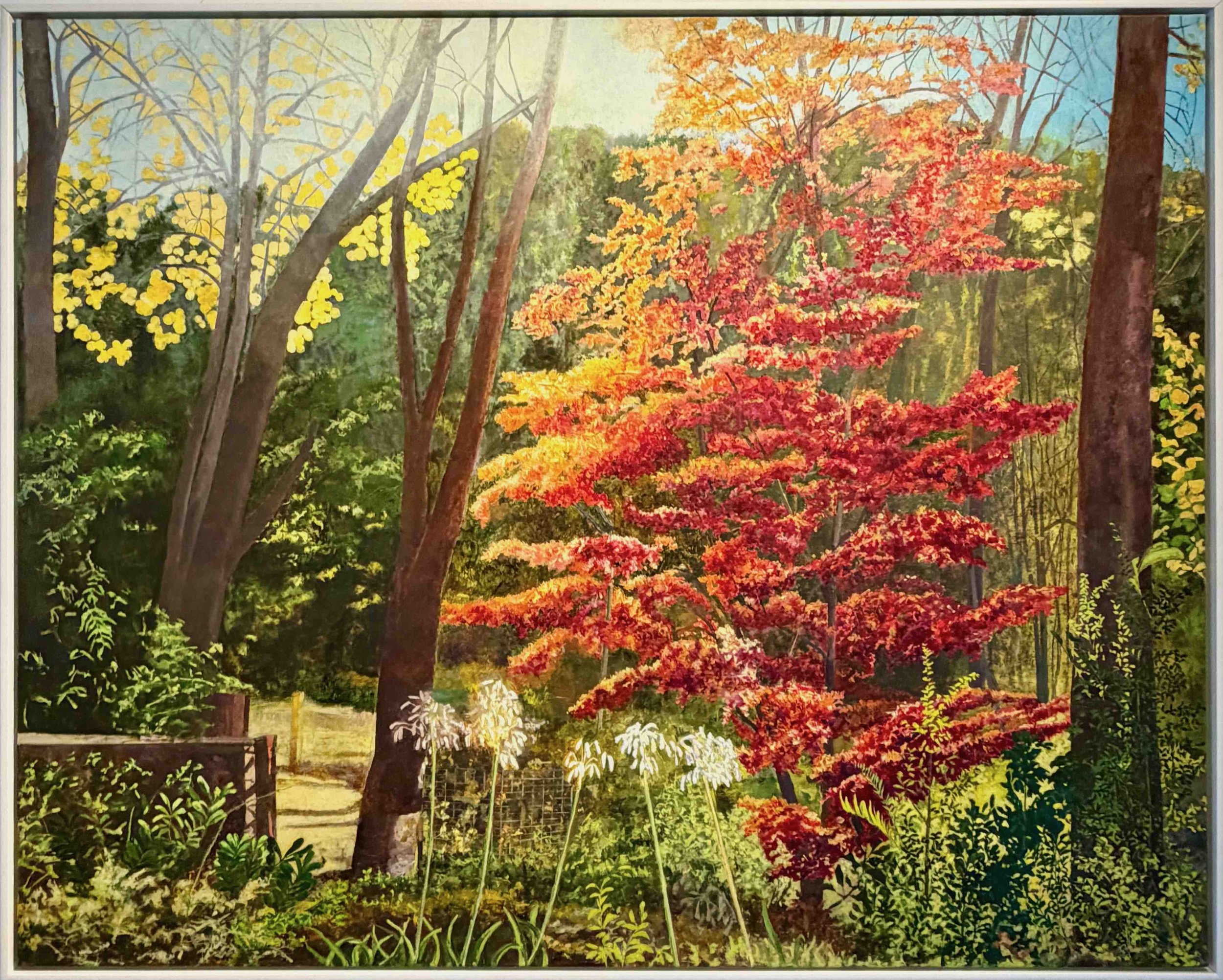 Graham Marchant | The Leura Garden, Megalong Street