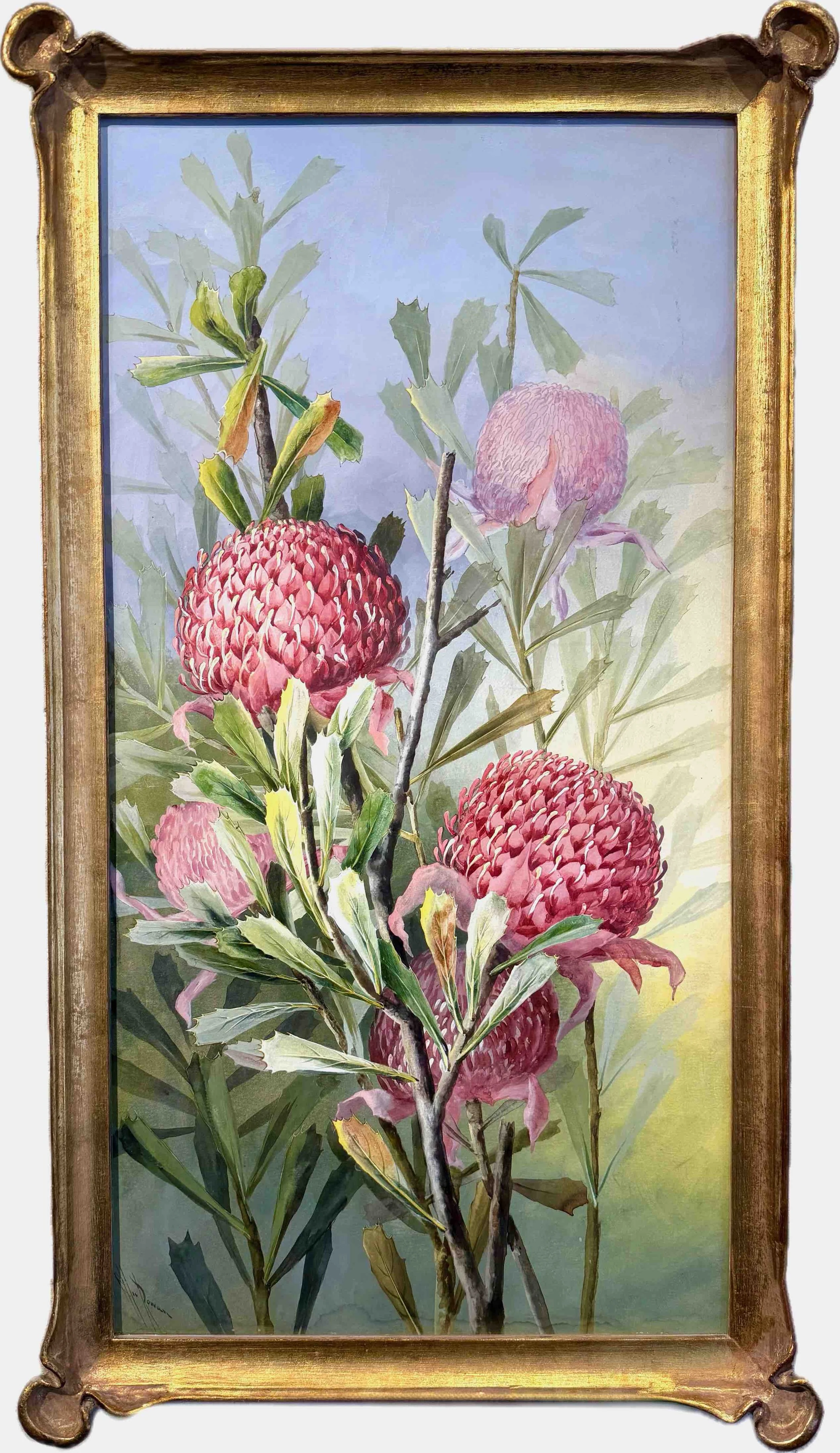 Ellis Rowan | Waratahs  c1914 