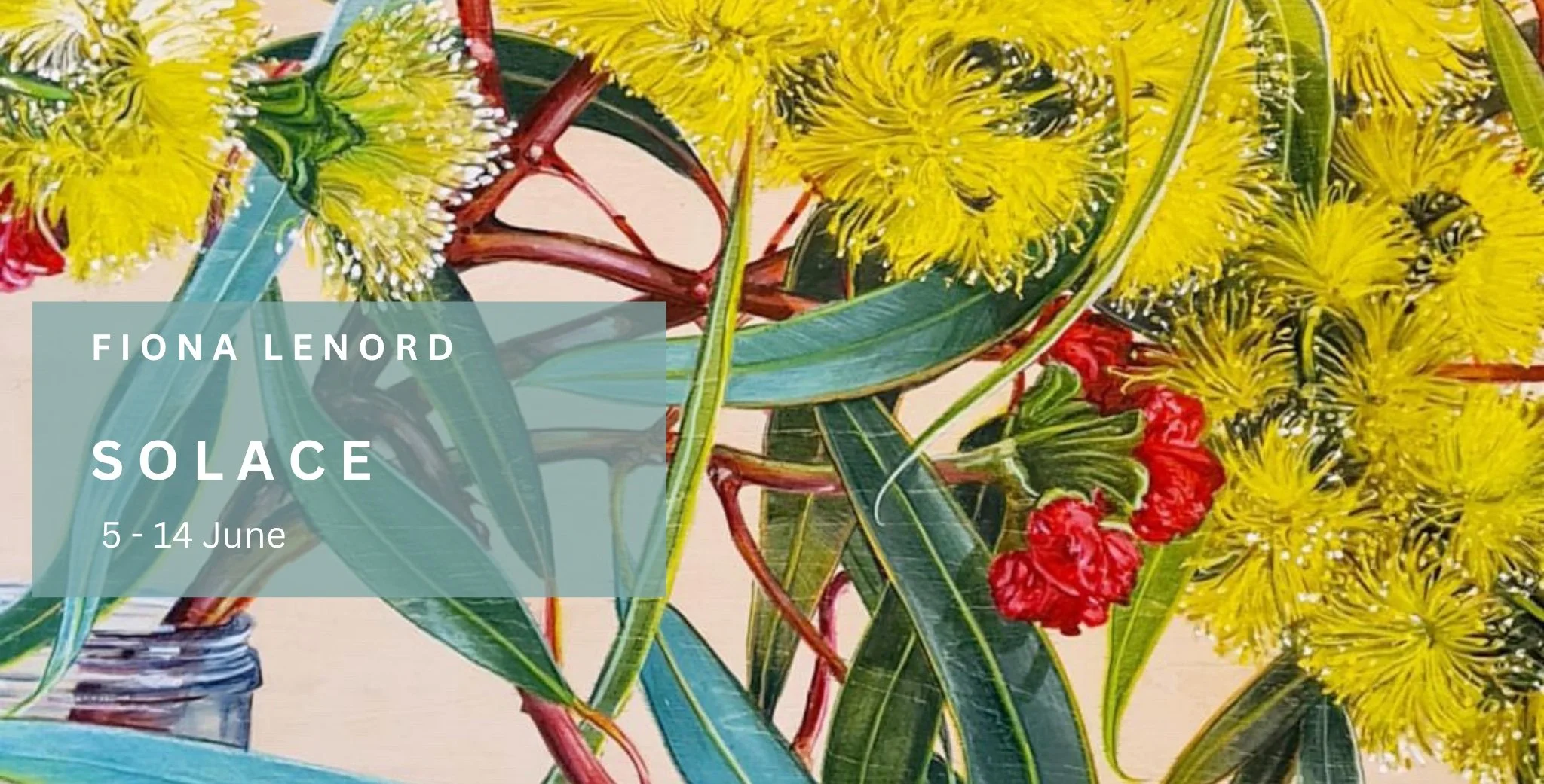 SOLACE. Fiona Lenord. day gallery.jpg
