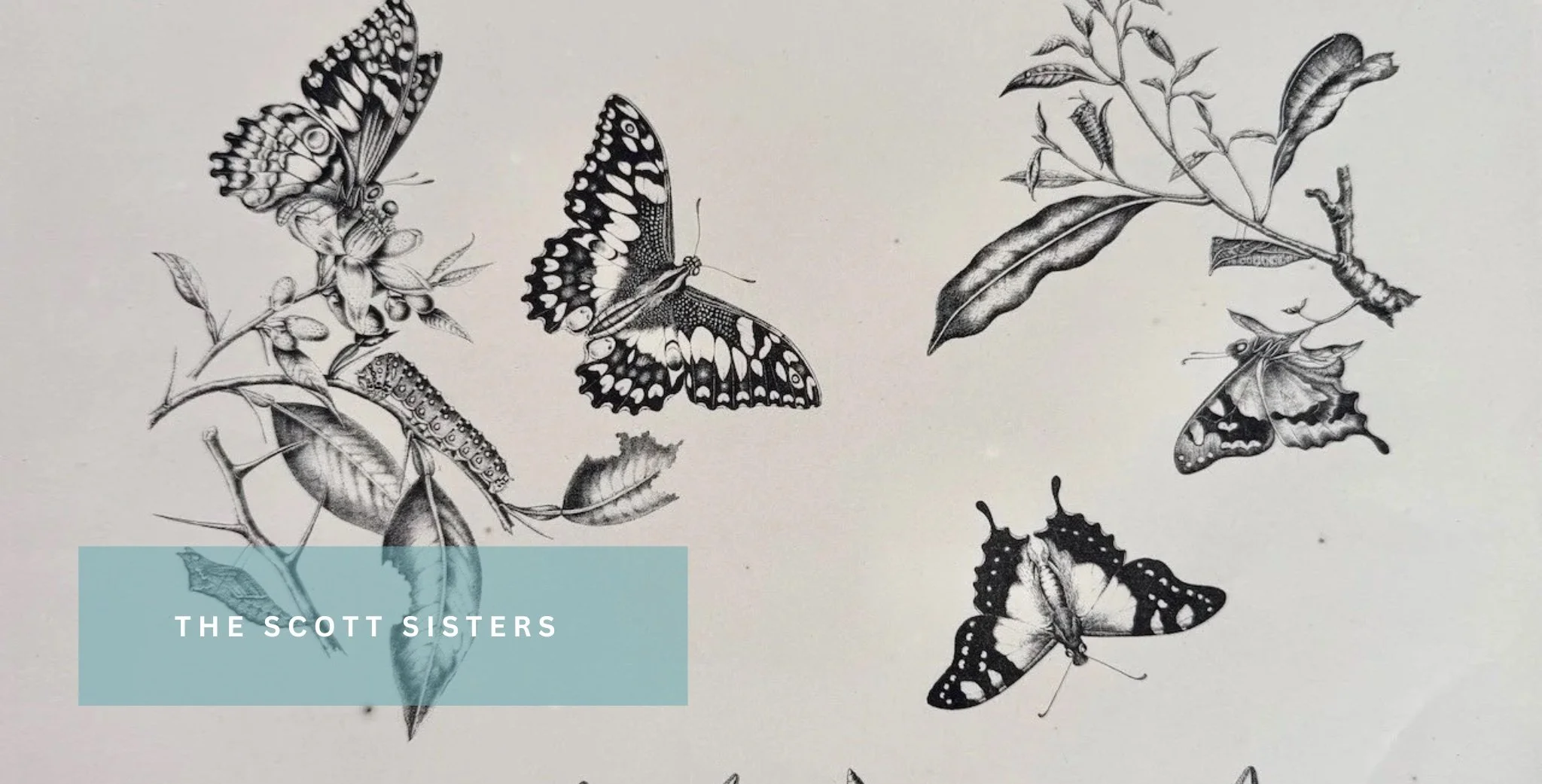 THE SCOTT SISTERTS. DAY GALLERY.jpg