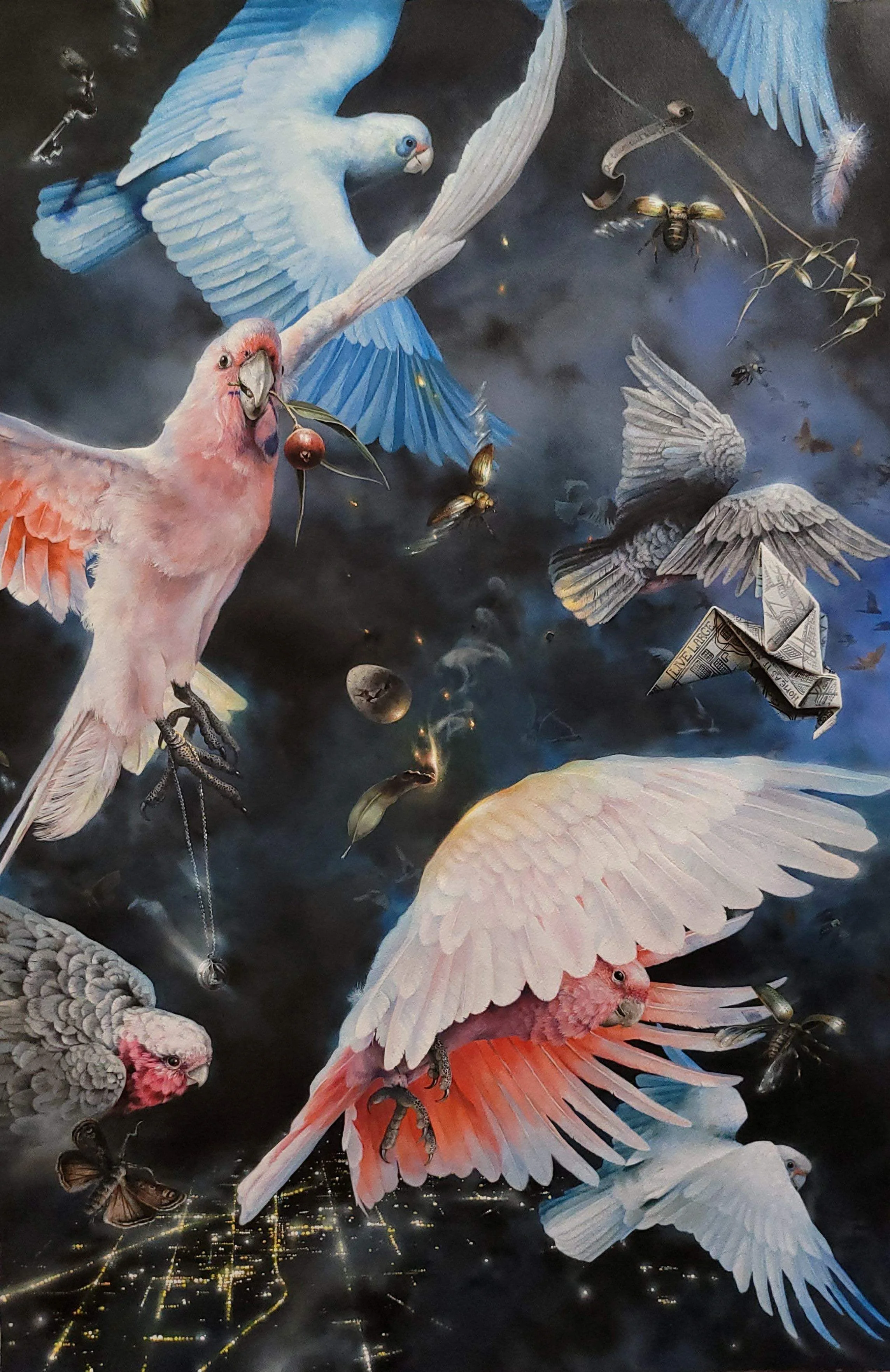 Adriana Seserko | Displaced