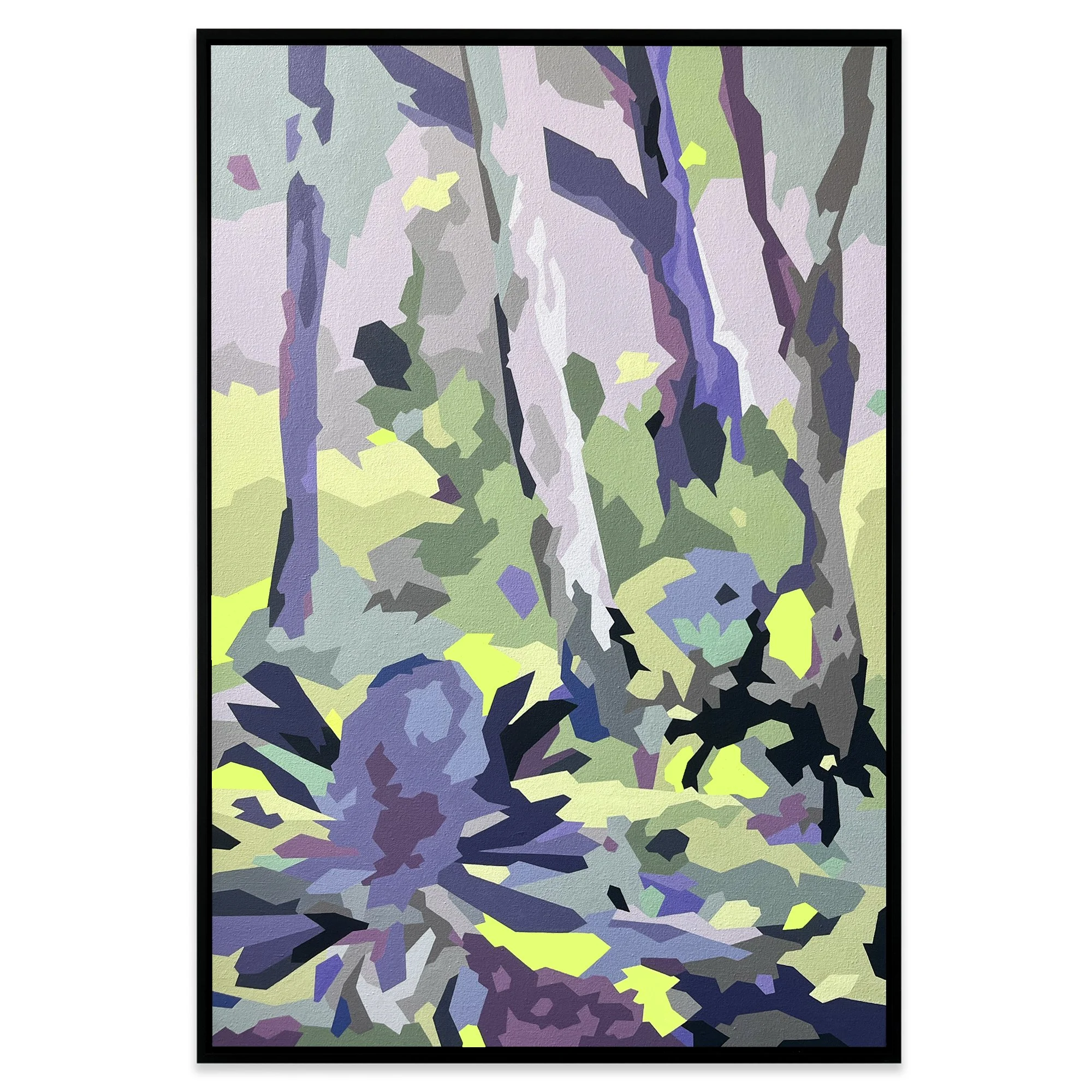 Helen Proctor | Banksia
