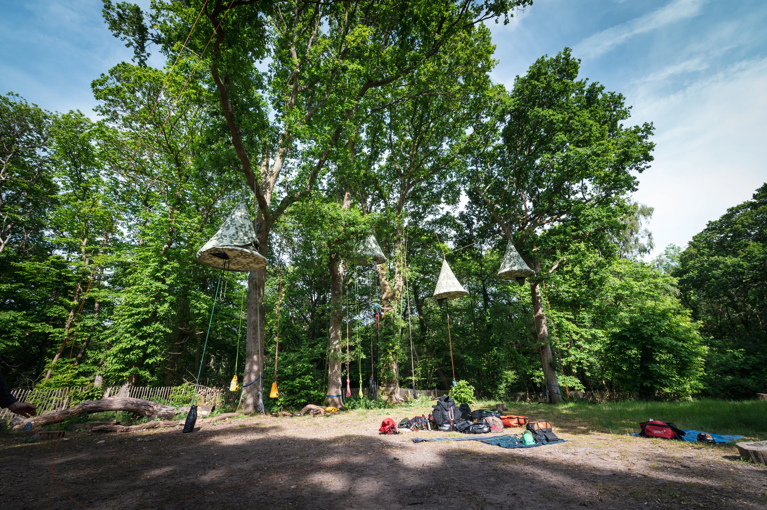 STC-June 2019-015.jpg