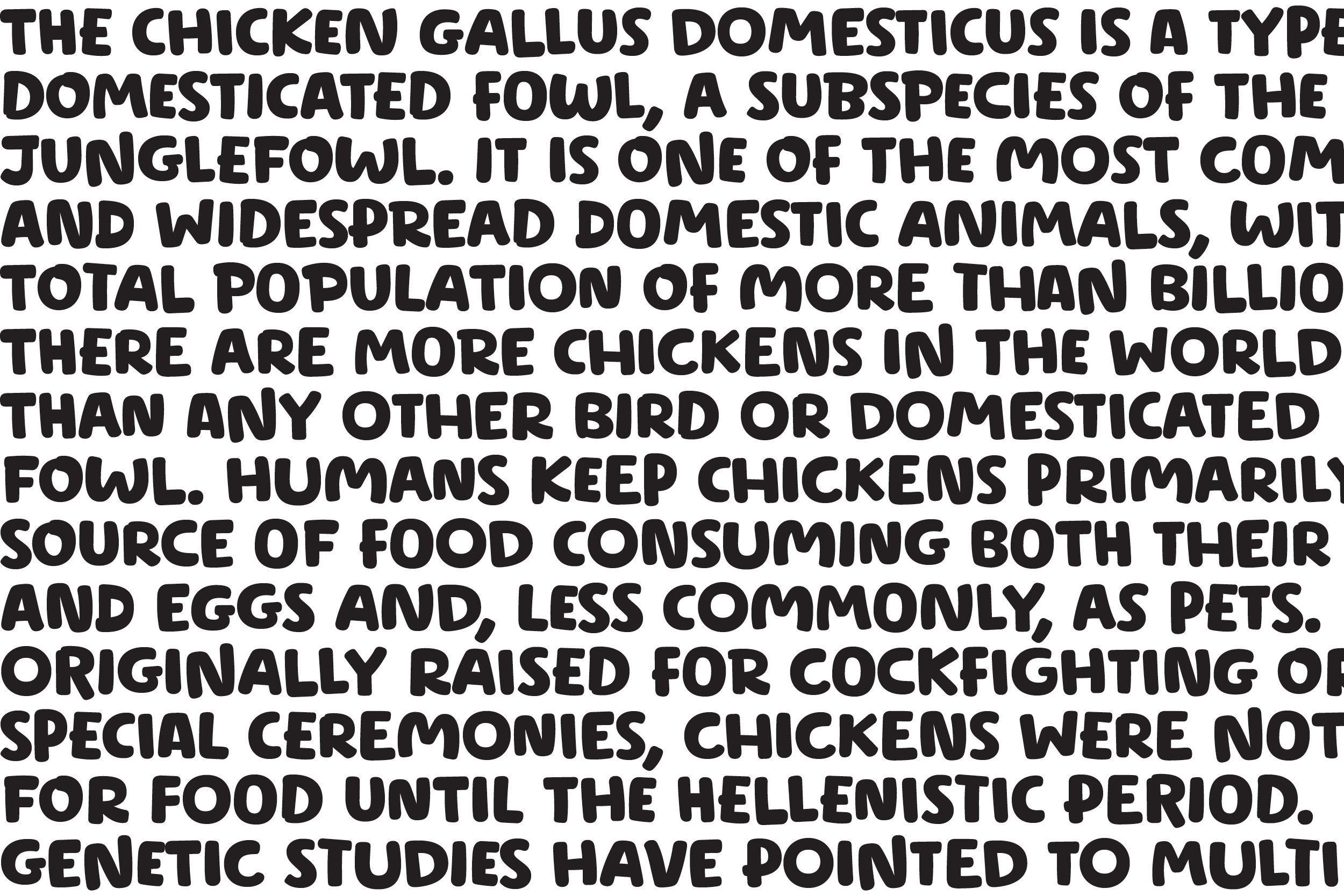 HappyChicken_04.png