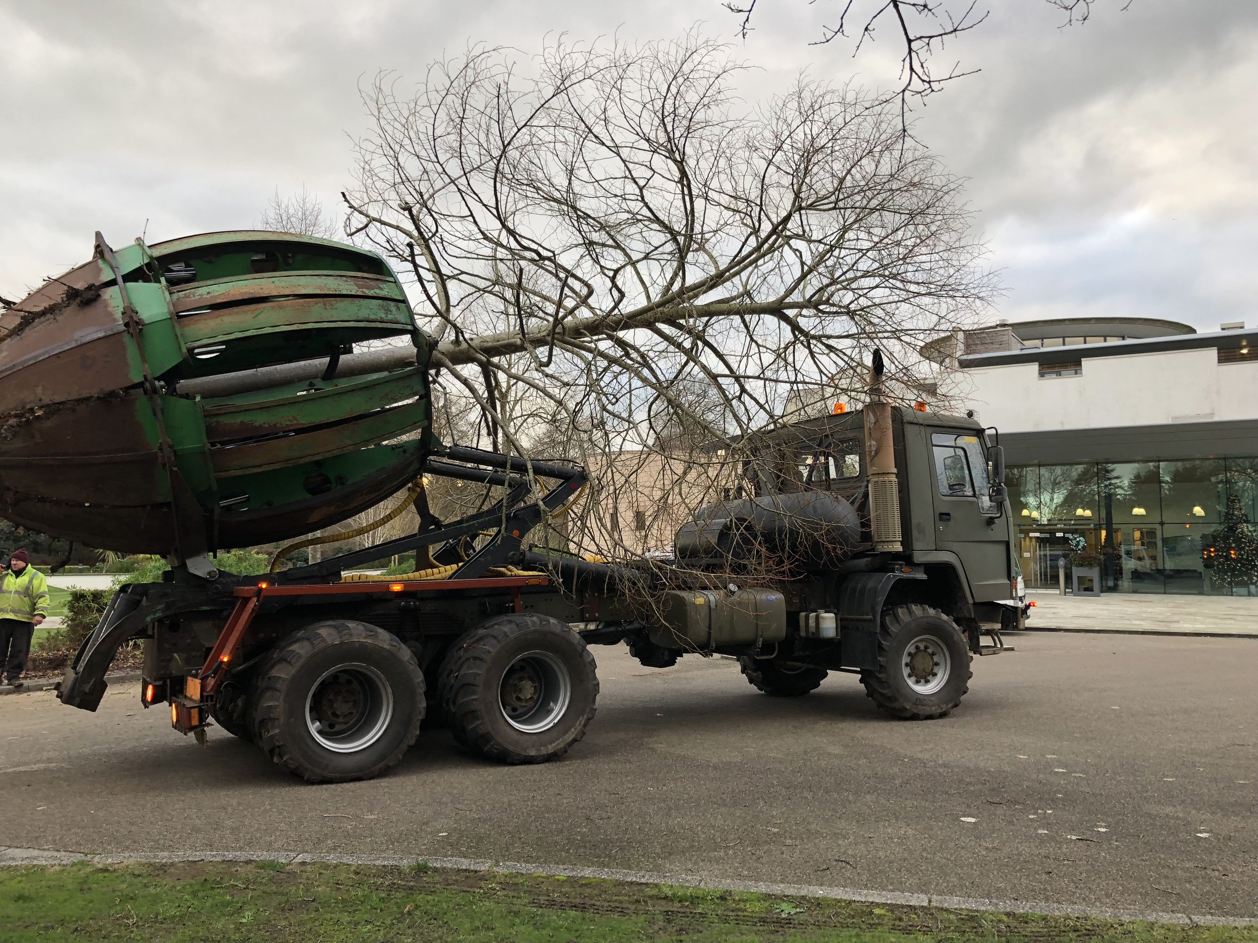Tree Relocation — Heritage Tree Services Ltd