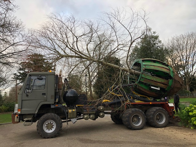 Tree Relocation — Heritage Tree Services Ltd