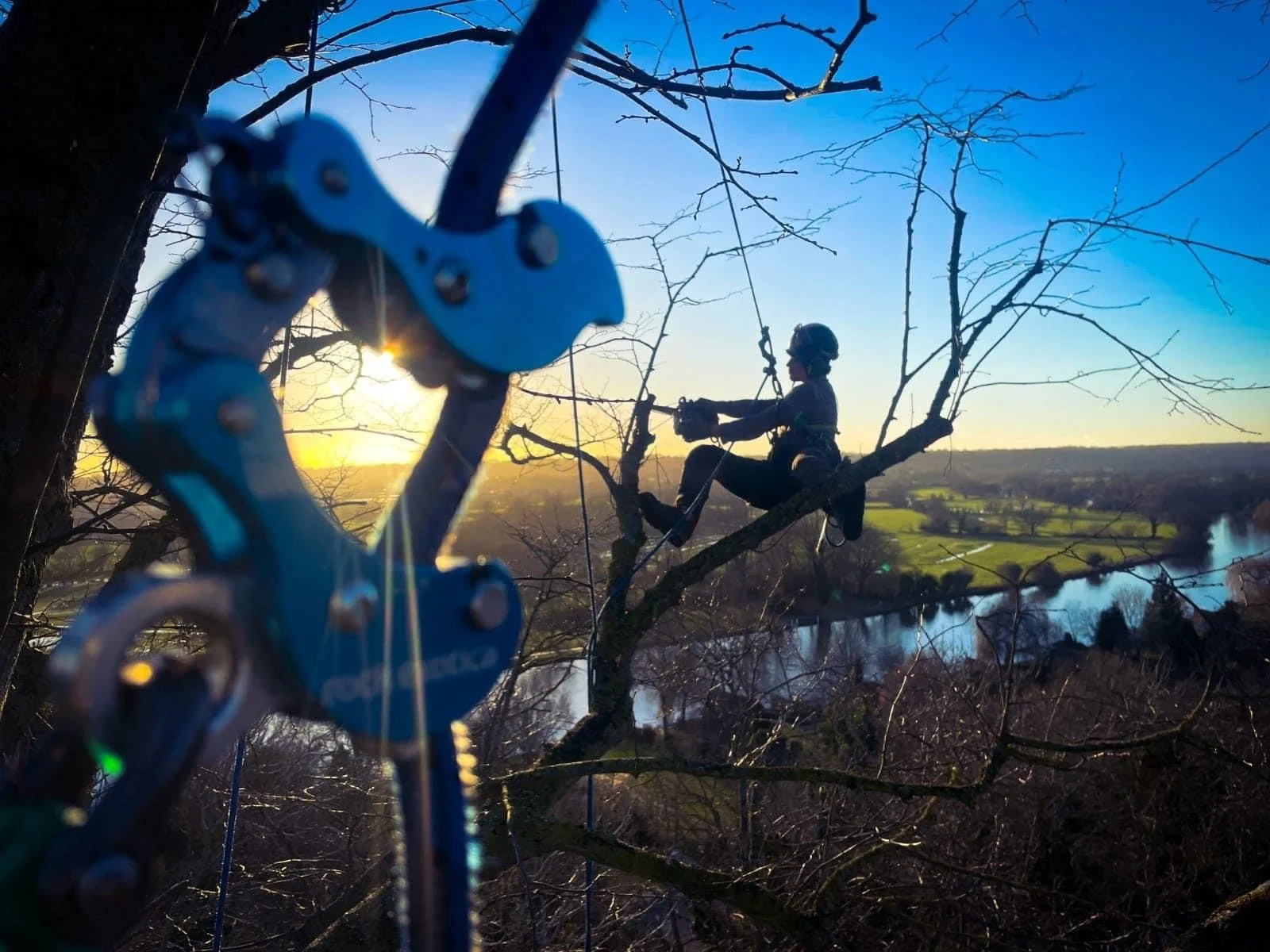 treeclimbing.jpg