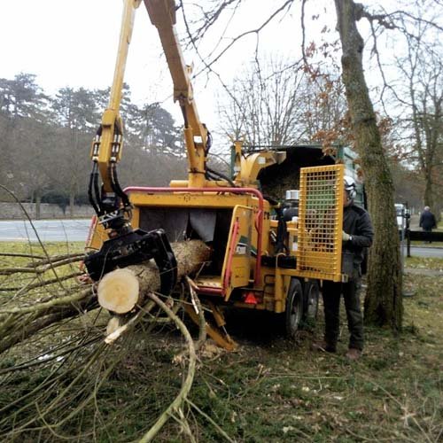 Whole Tree Crane Fed Chipper