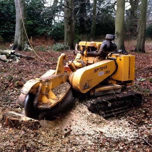 Remote Controlled Stump Grinder with Operator