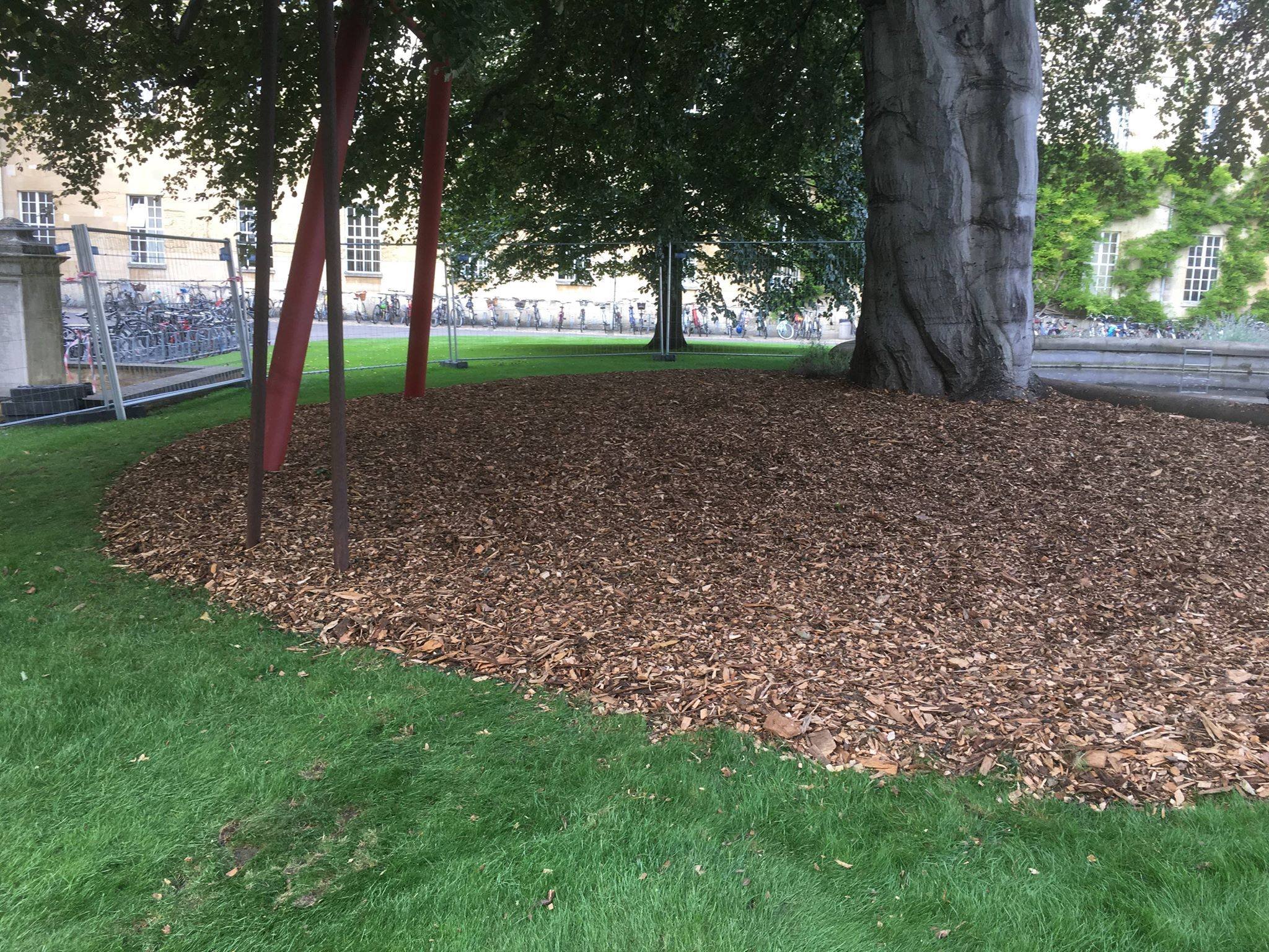 Holistic mulch circle, aiding both weed suppression and moisture retention.