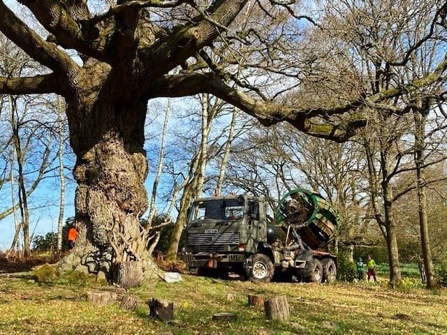 Oak Tree at Heckfield Place