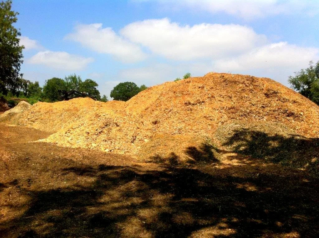Woodchip and shadow.jpg