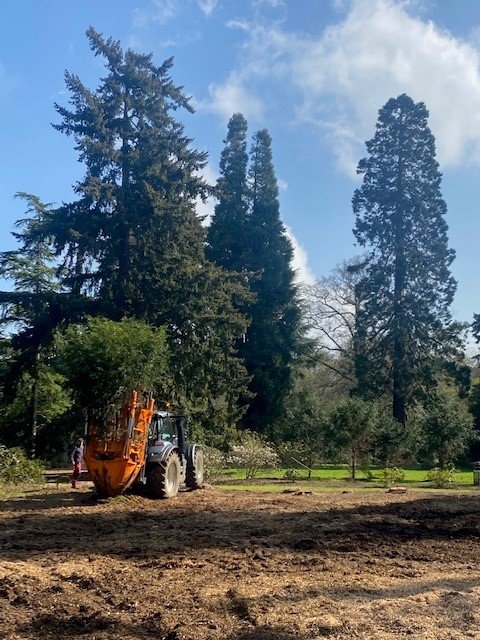 Tree Relocation at The Arboretum