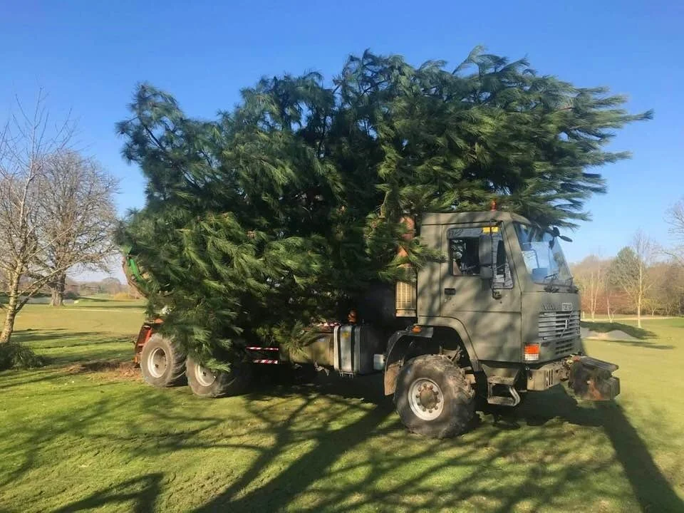 Tree Relocation — Heritage Tree Services Ltd