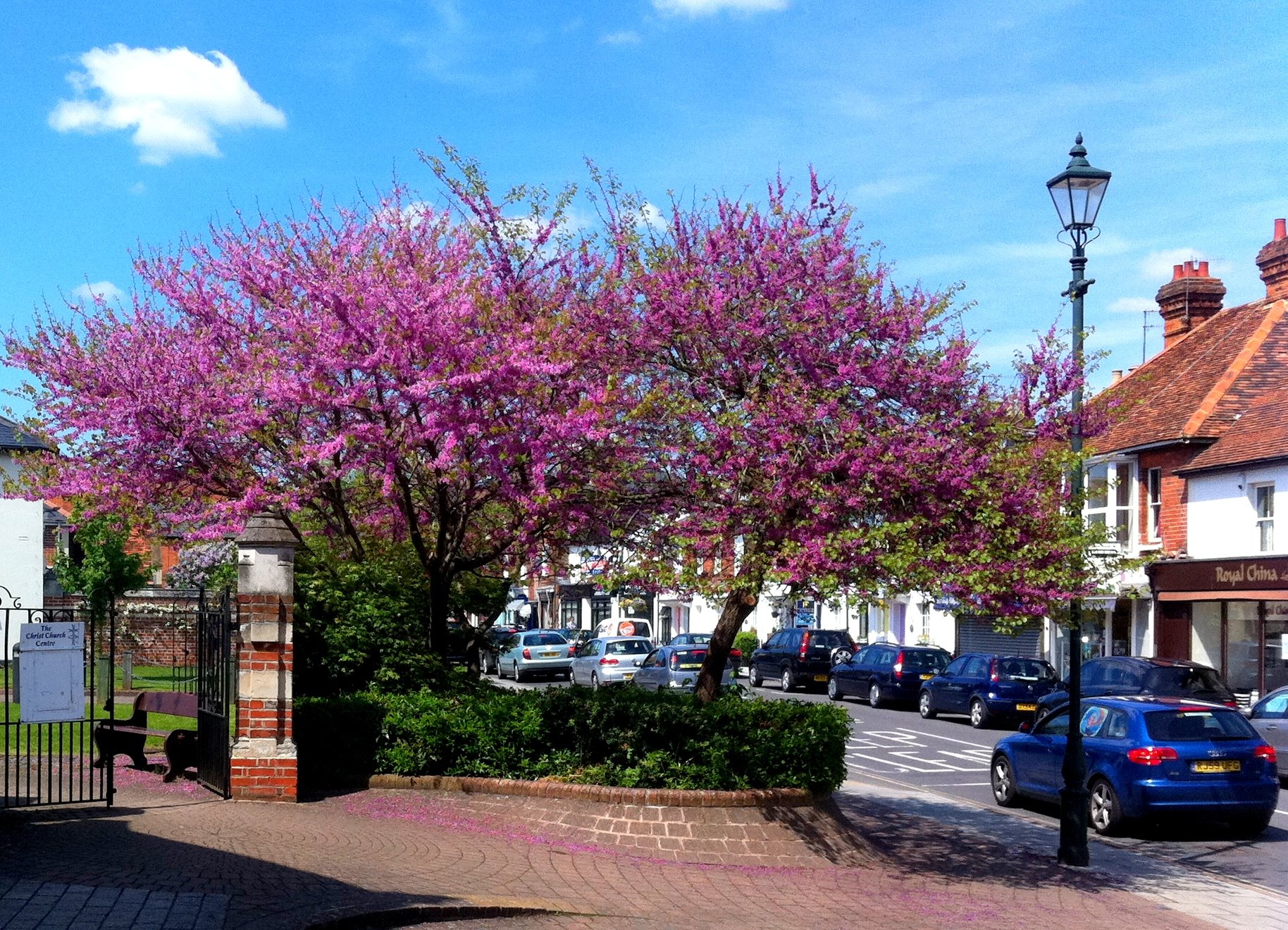 Street planting