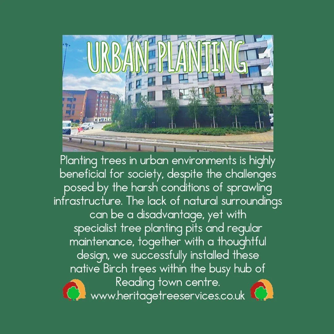 URBAN PLANTING - Reading.jpeg