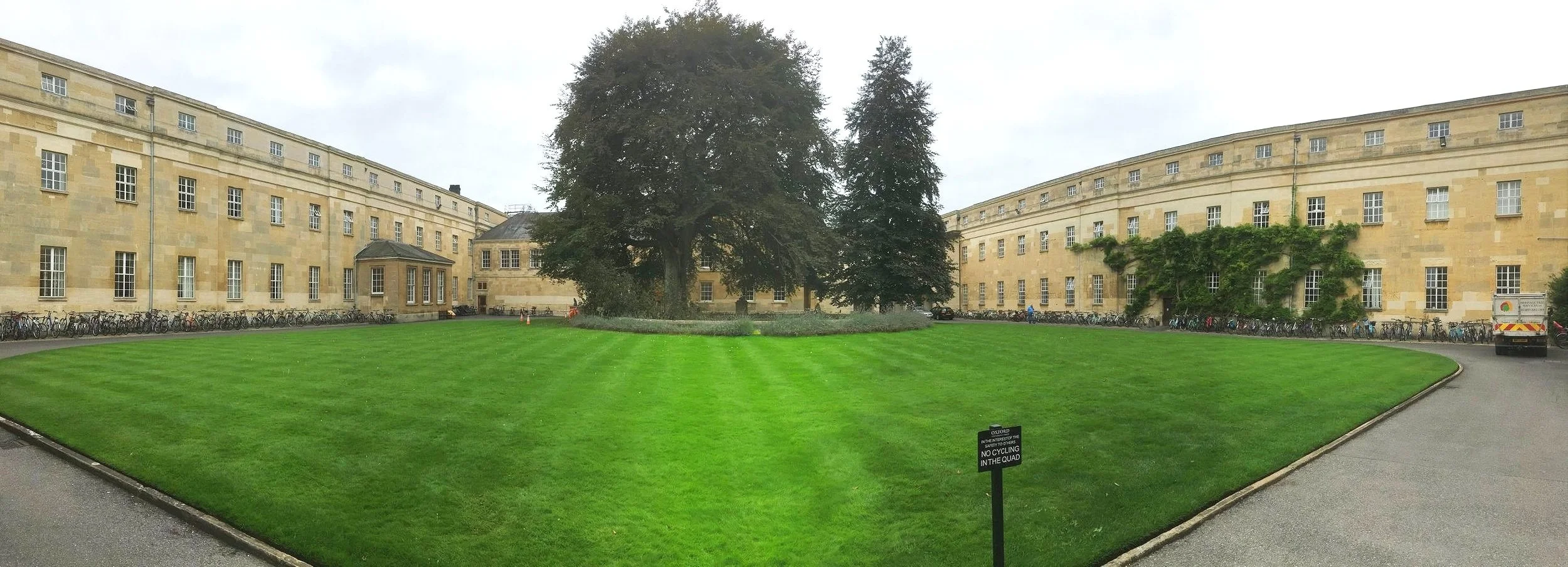 Copper Beech Oxford (i).jpg