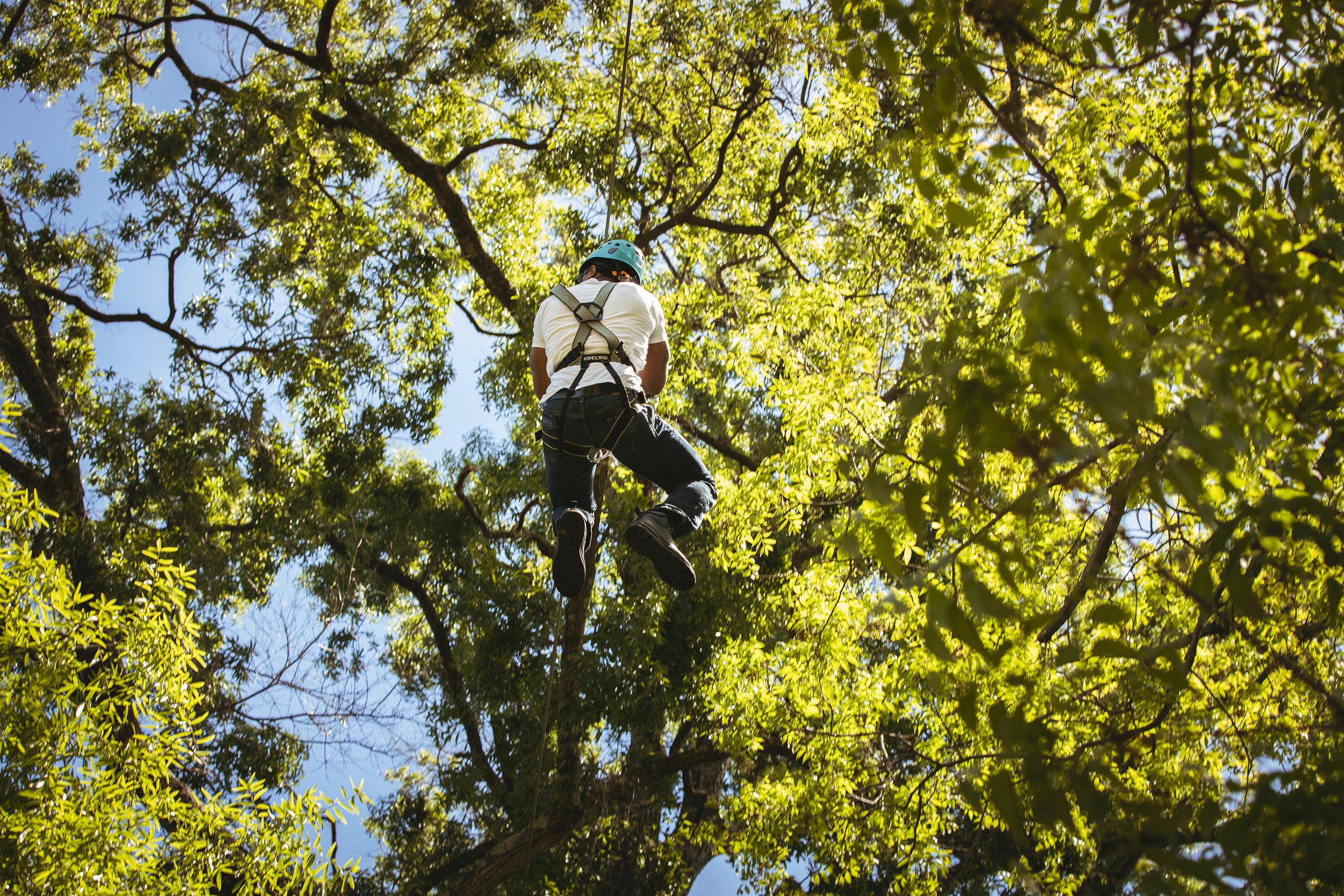 zip lining in Phenix City, AL