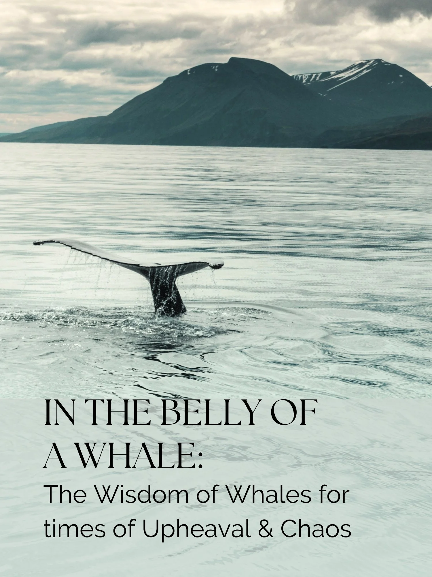 In the Belly of a Whale: Archetypal Monsters and Mothers in Maritime Mythology