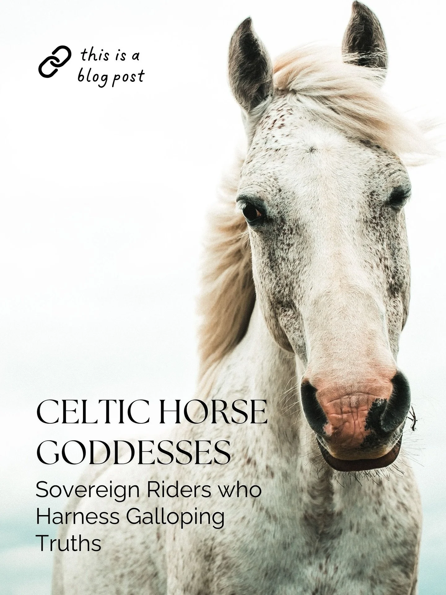 How do we carry the weight of many callings—love, labor, caregiving, and the fire of our own becoming—without breaking beneath them? How do we ride the tension of our conflicting desires and still hold the reins of our soul?
Myth doesn&r