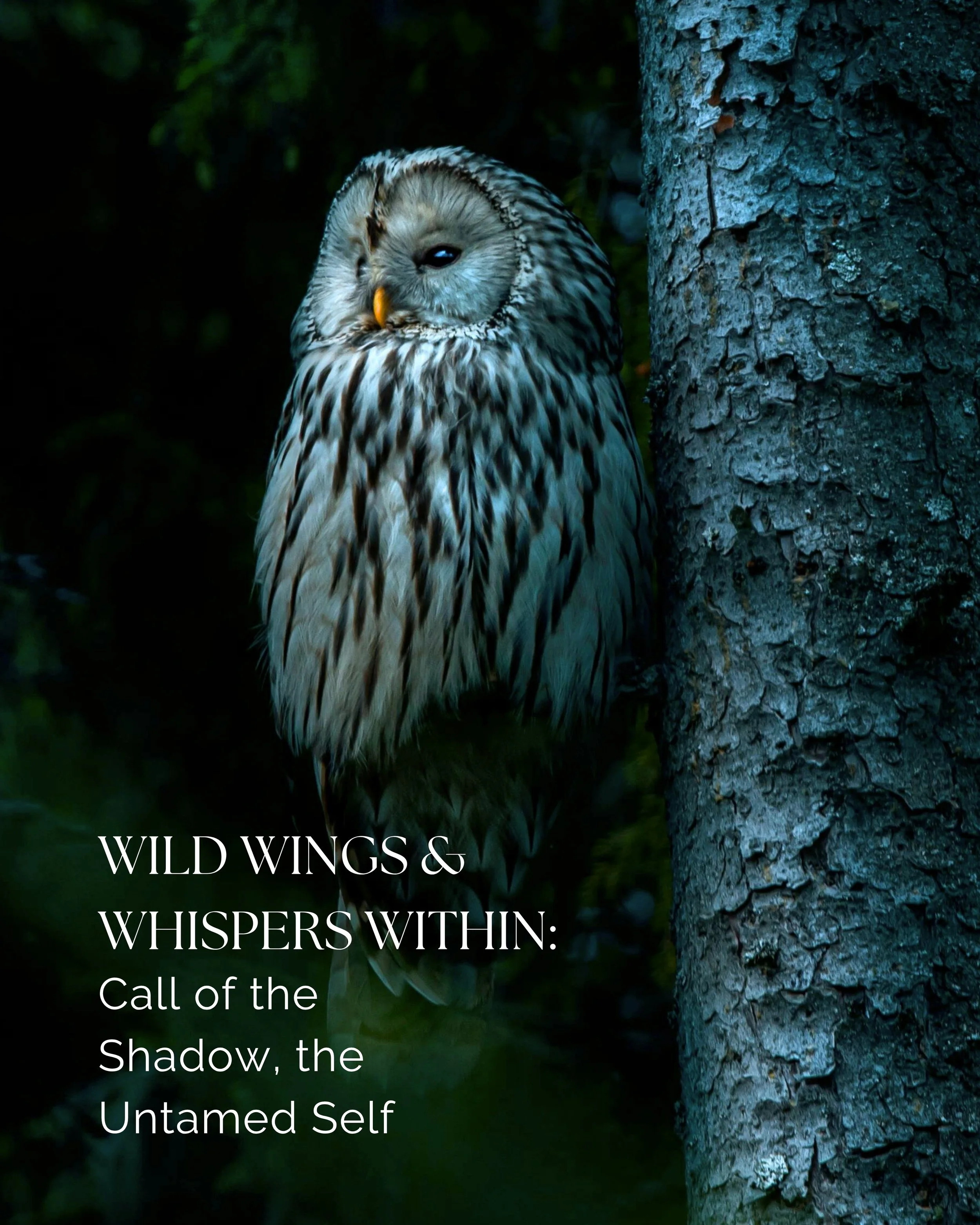 Wild Wings &amp; Whispers Within: Call of the Shadow, the Untamed Self