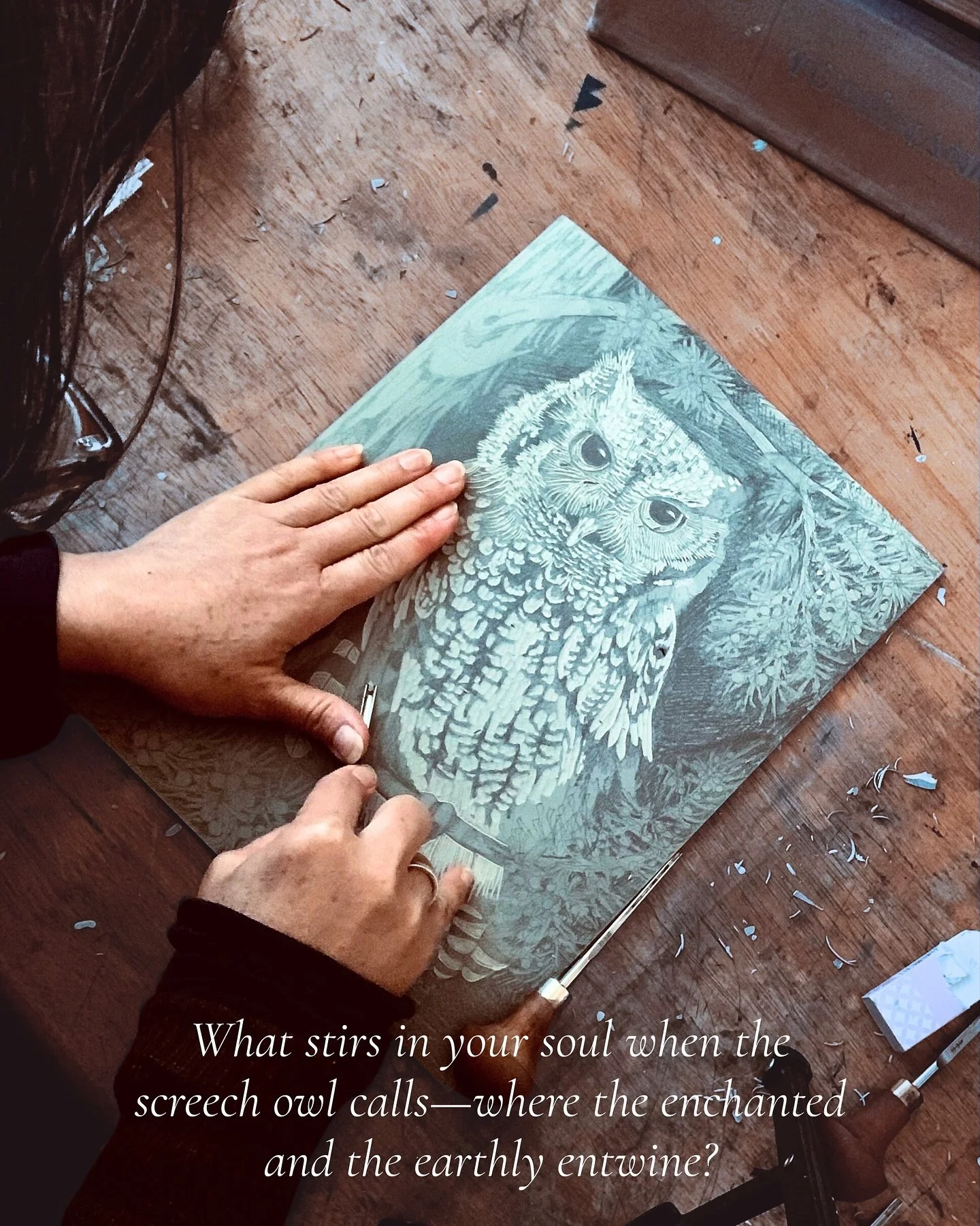Perhaps nothing stirs the human soul more deeply than to be caught in the spell of a screech owl’s timeless trill. . . This feathered and fabled creature shows up time and time again in folktales when the enchanted and the earthly are interwove