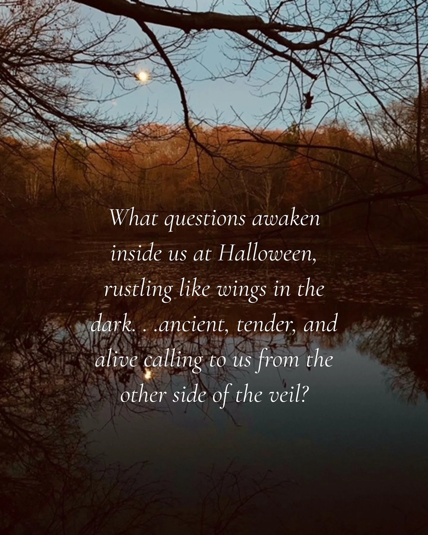 What questions awaken inside us at Halloween, rustling like wings in the dark. . .ancient, tender, and alive calling to us from the other side of the veil? 
In many old stories, the raven is no mere bird but a sacred emissary, a creature of in-betwe