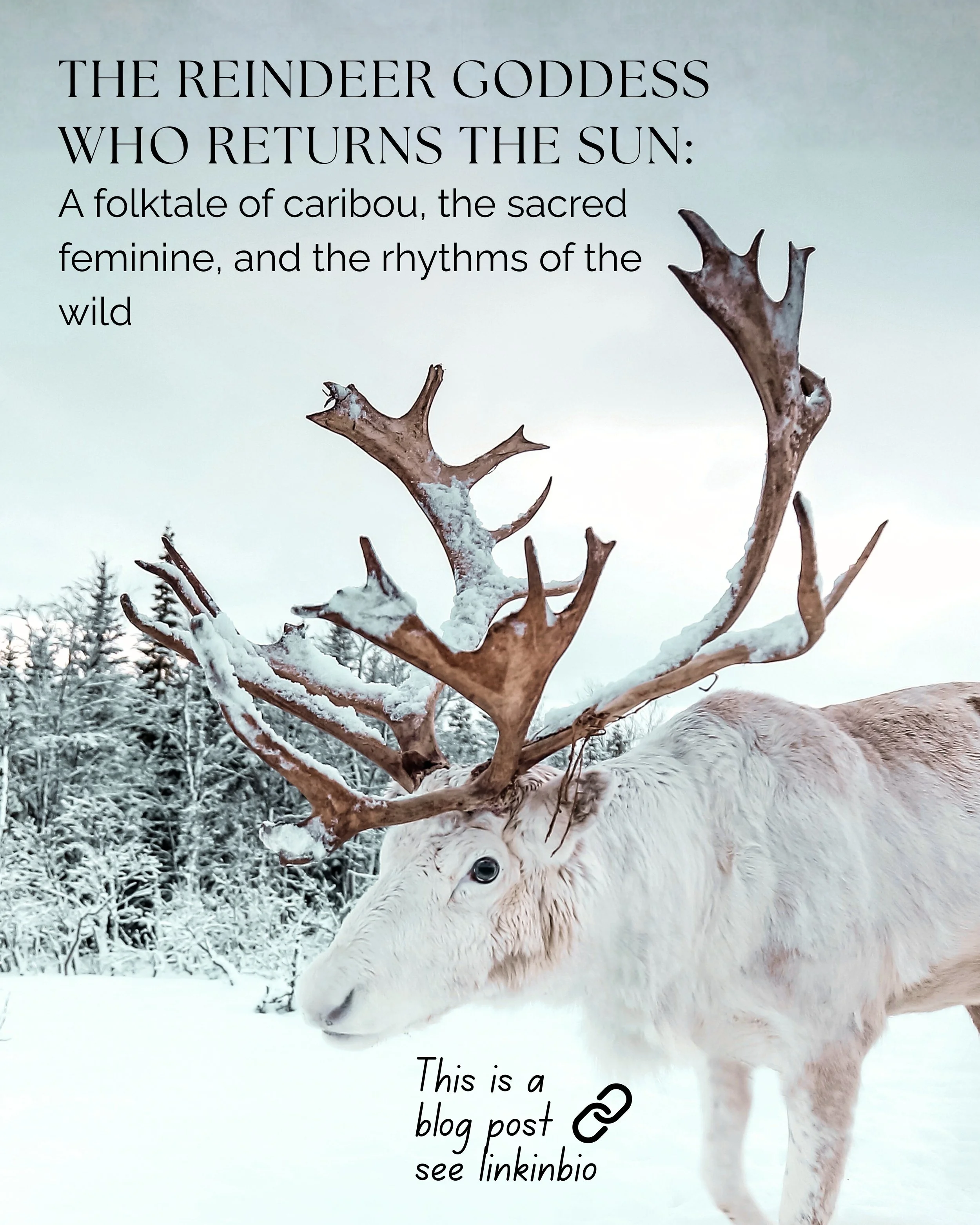 The Reindeer Goddess Who Returns The Sun: A folktale of Reindeer, the Sacred Feminine &amp; the Rhythms of the Wild