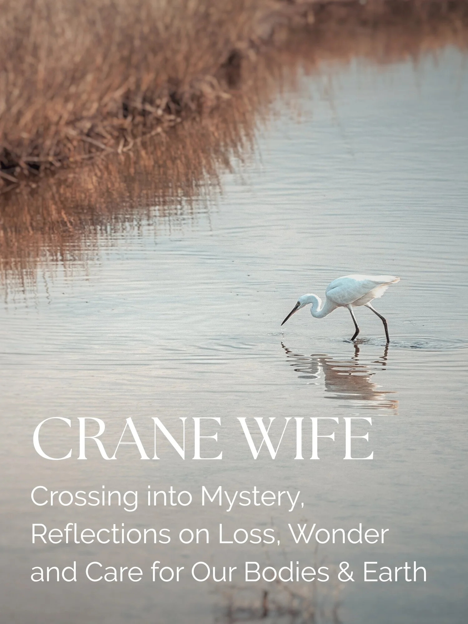 Crane Wife Story: Crossing into mystery, reflecting on loss, wonder, and care for our bodies and Earth