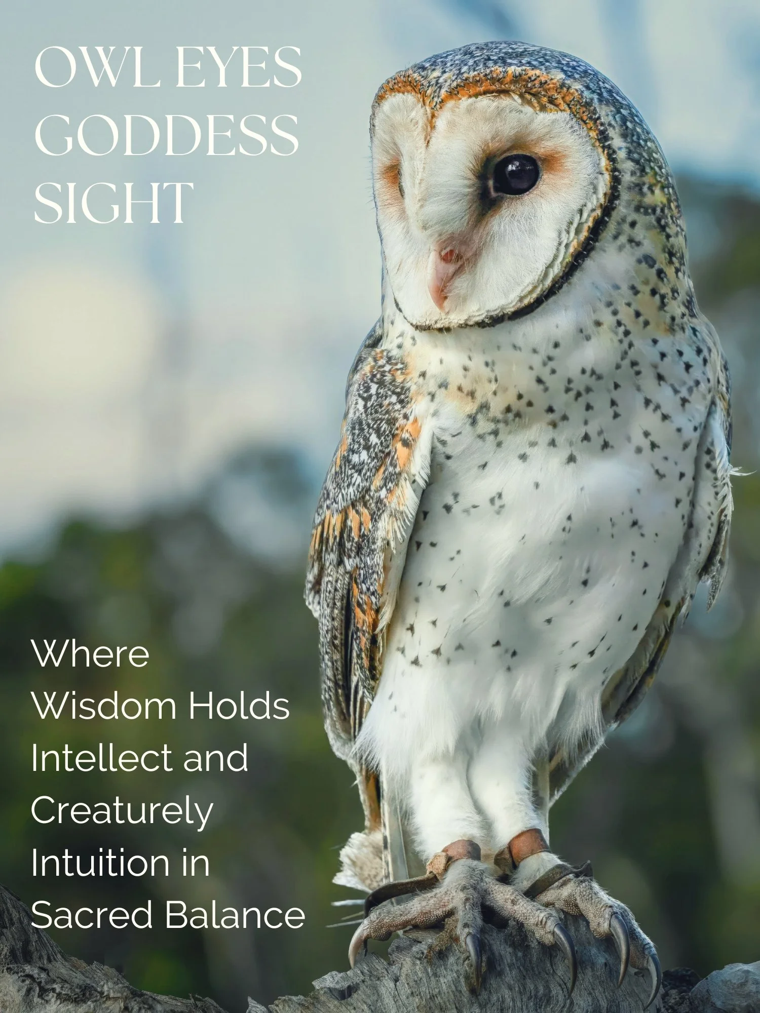 Owl Eyes Goddess Sight: Where Wisdom Holds Intellect and Creaturely Intuition in Sacred Balance