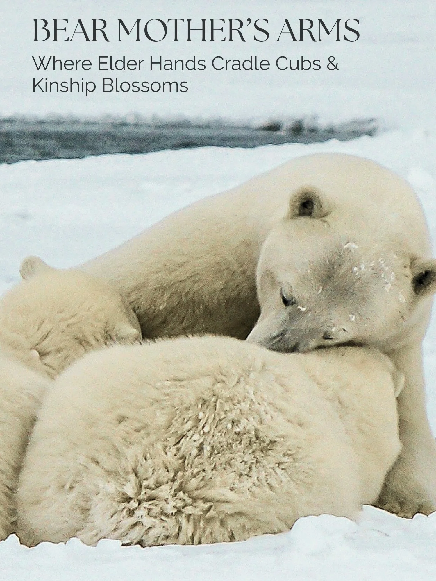 Bear Mother's Arms: Where Elder Hands Cradle Cubs &amp; Kinship Blossoms