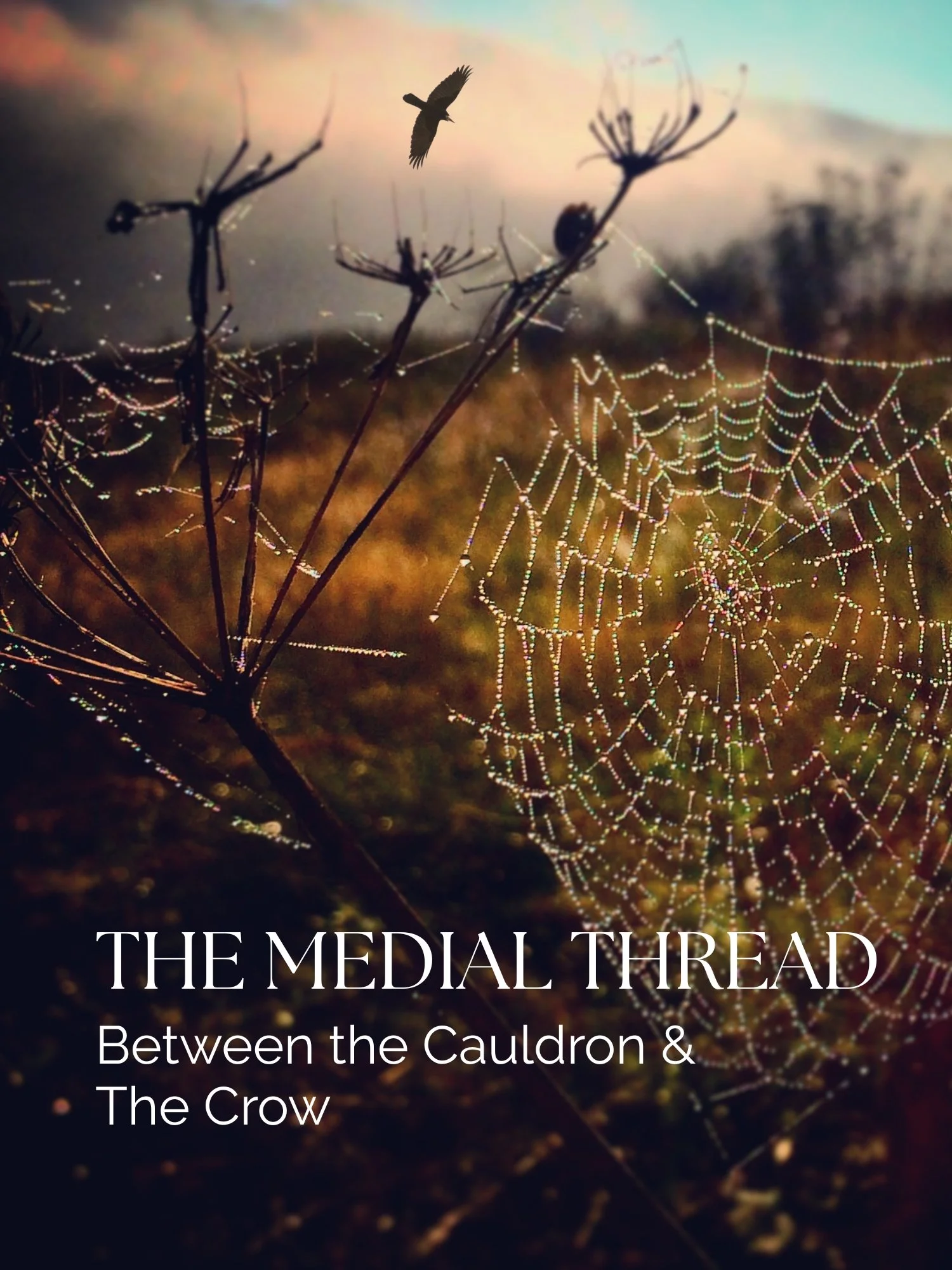 The Medial Thread: Between The Cauldron and the Crow