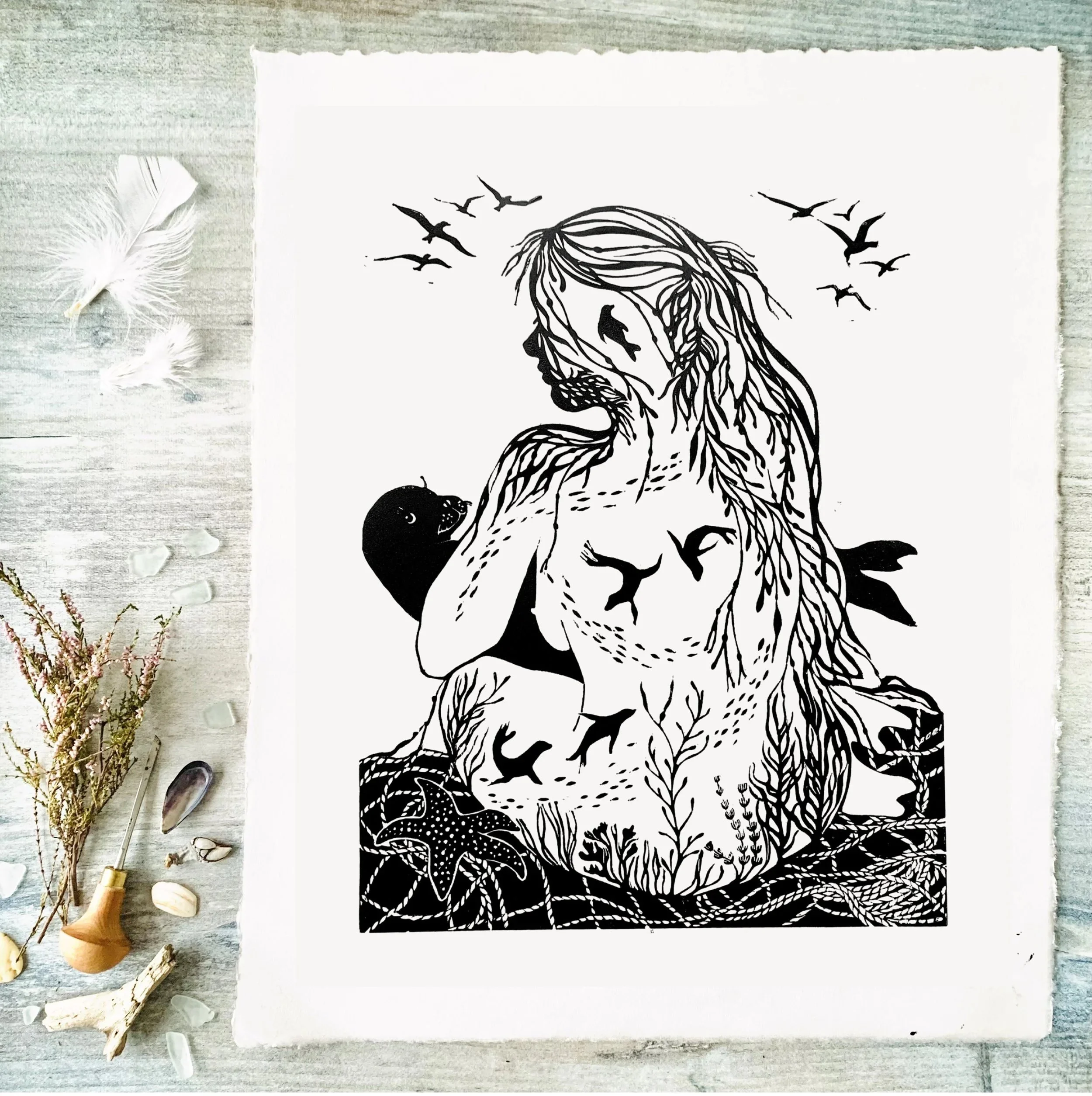 Selkie+NEW+2026+Black.jpg