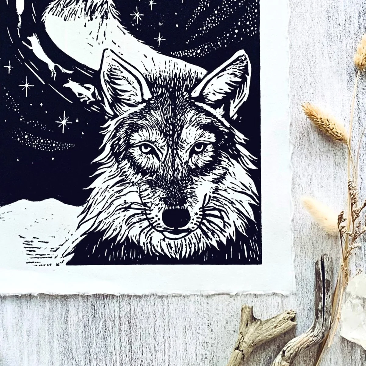 Wolves+of+Tengger+9.jpg