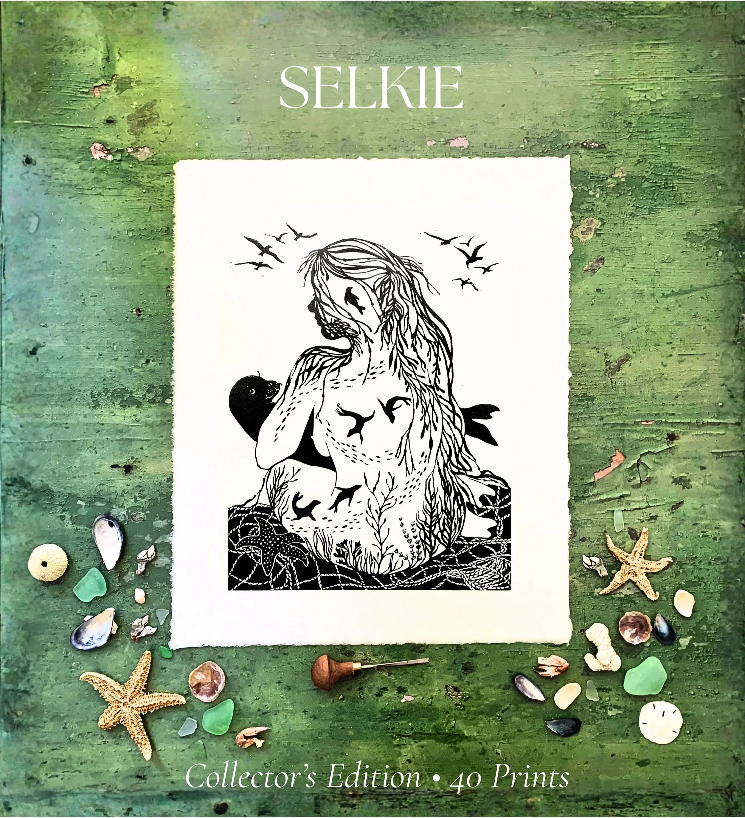 NEW+2026+Selkie+Black.jpg