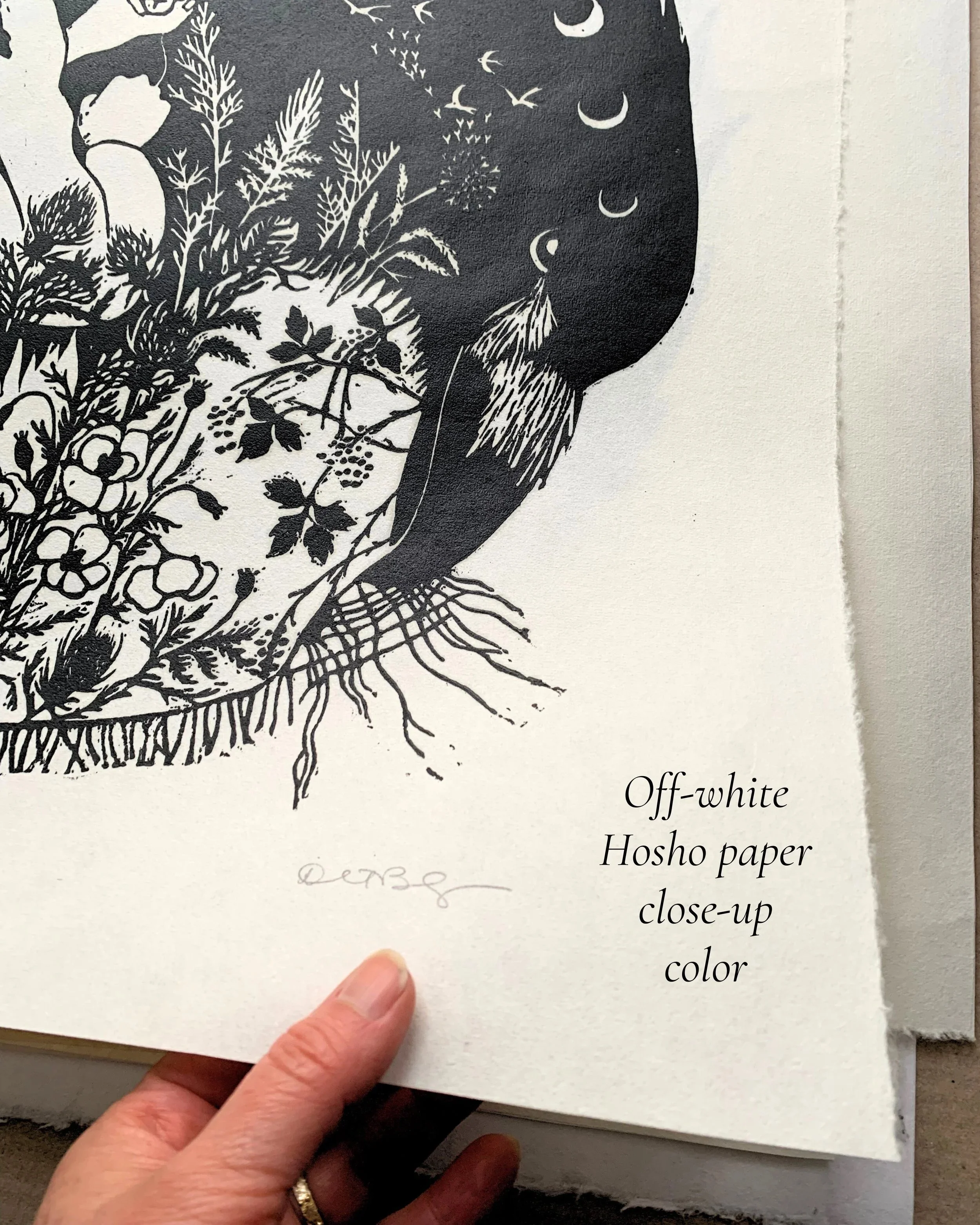 off-white+hosho+sample.jpg