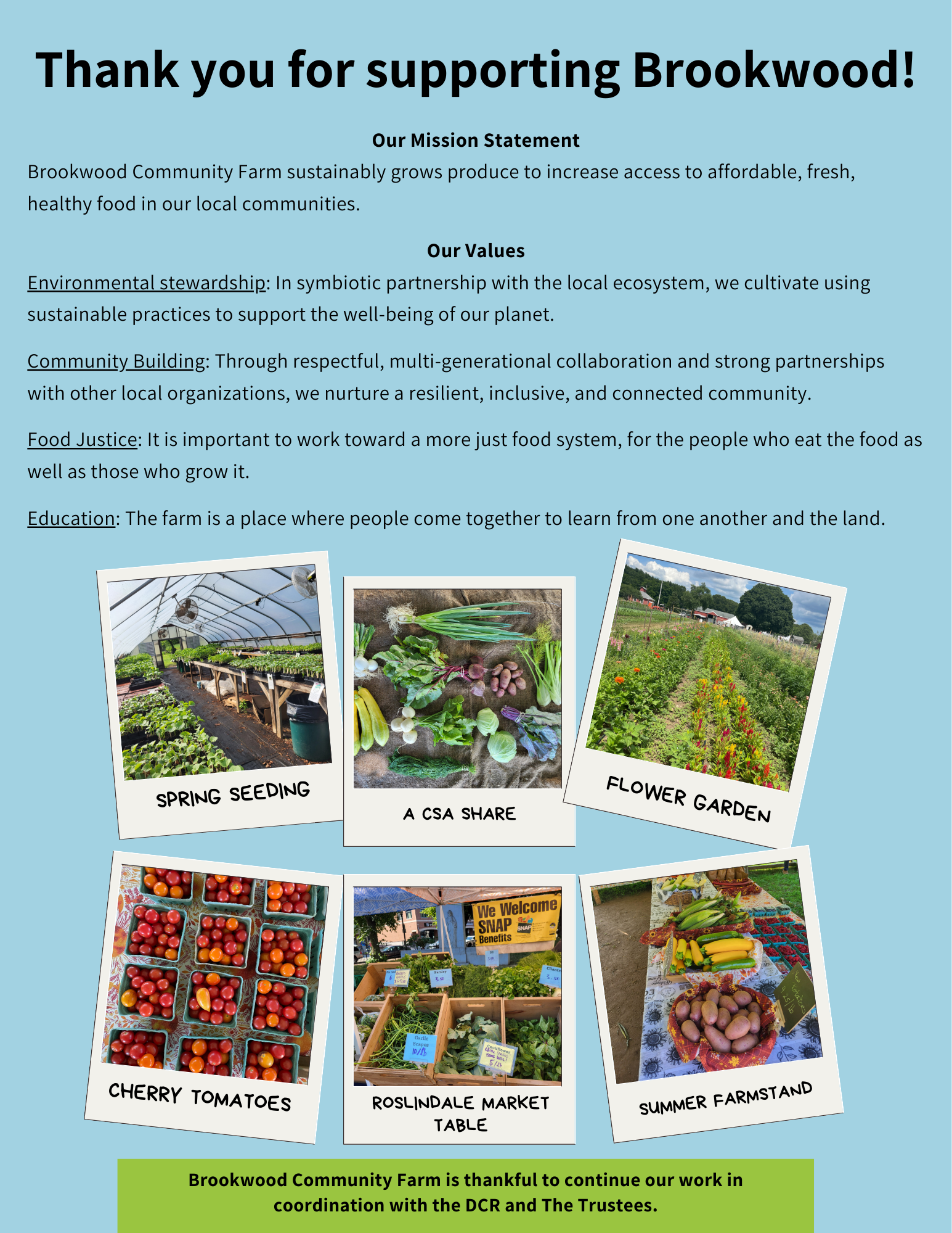 Copy of 2025 Annual Report - DRAFT (8).png