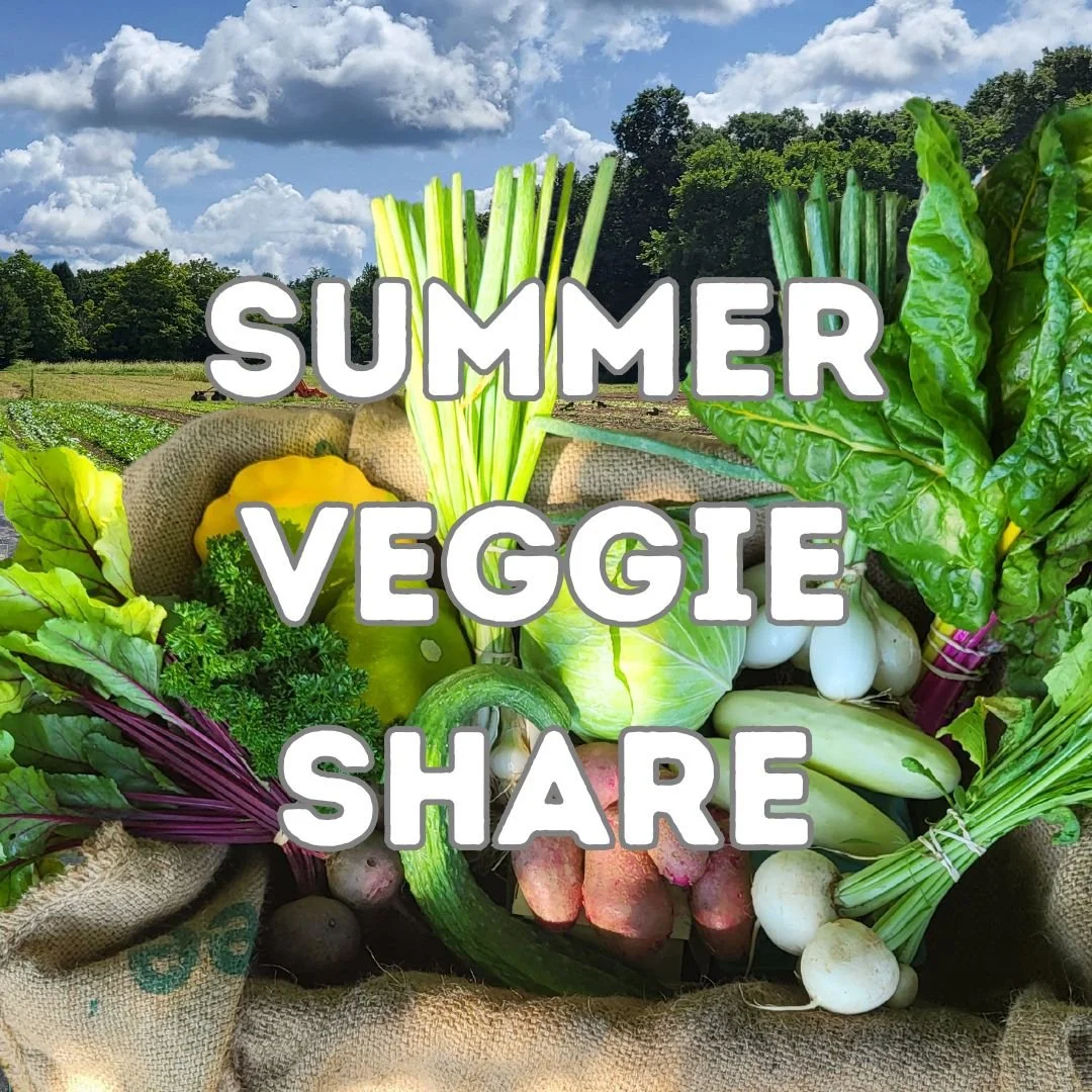 CSA Inventory Summer Veg 25' 1.jpg