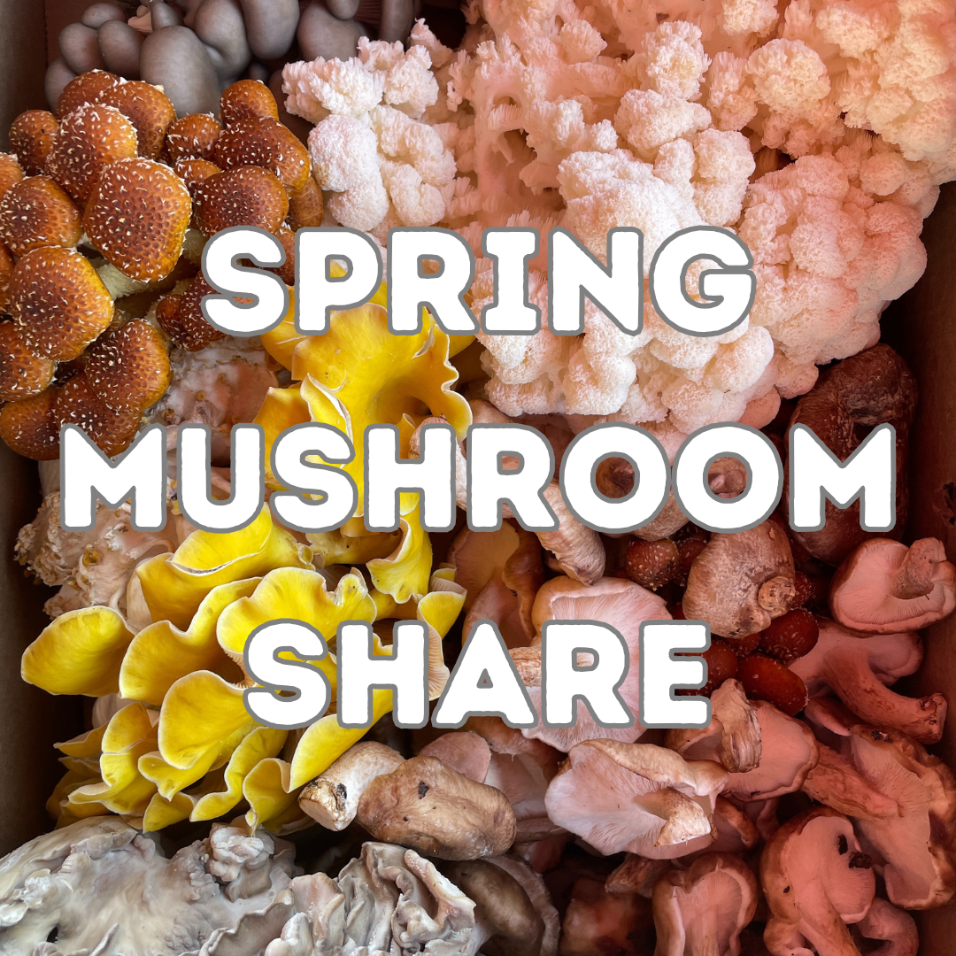 Mushroom Inventory 25' 2 (2).png