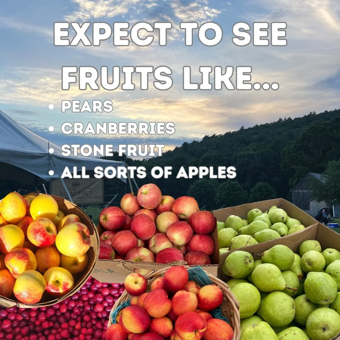 CSA Inventory Fall Fruit 25' 2.jpg