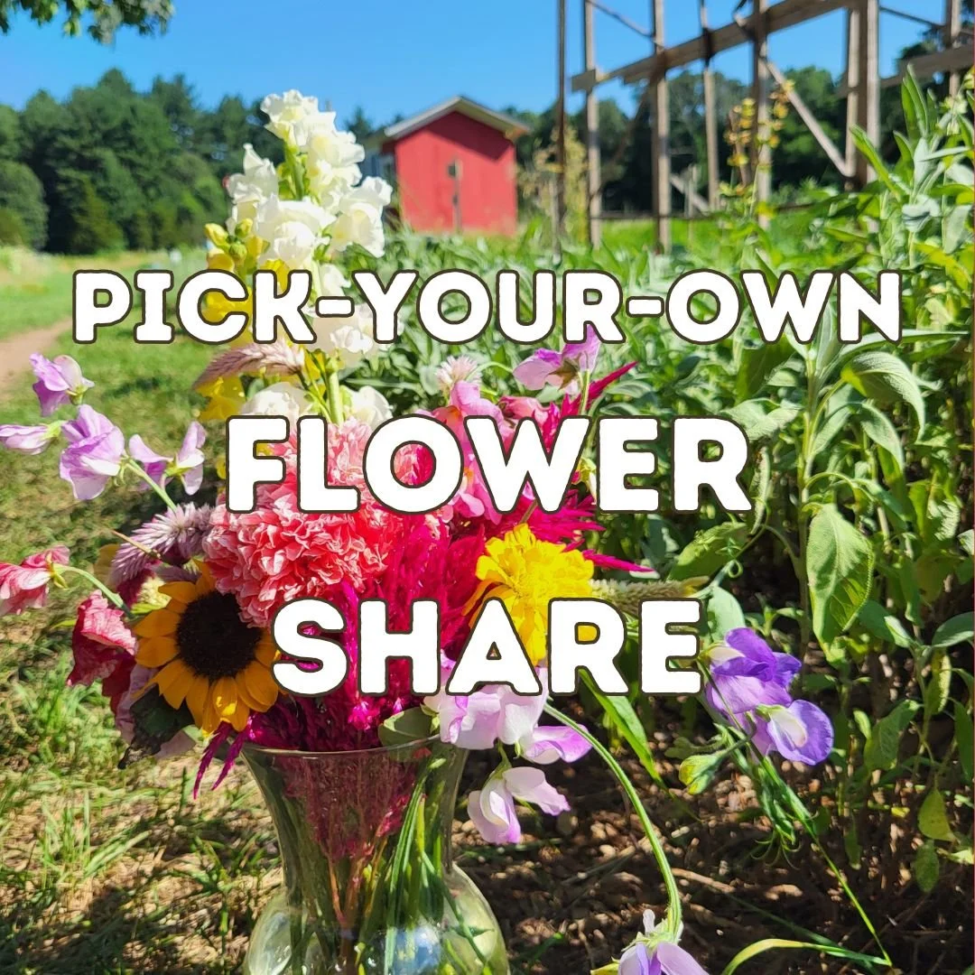 CSA Inventory PYO Flower 25' 1 .jpg